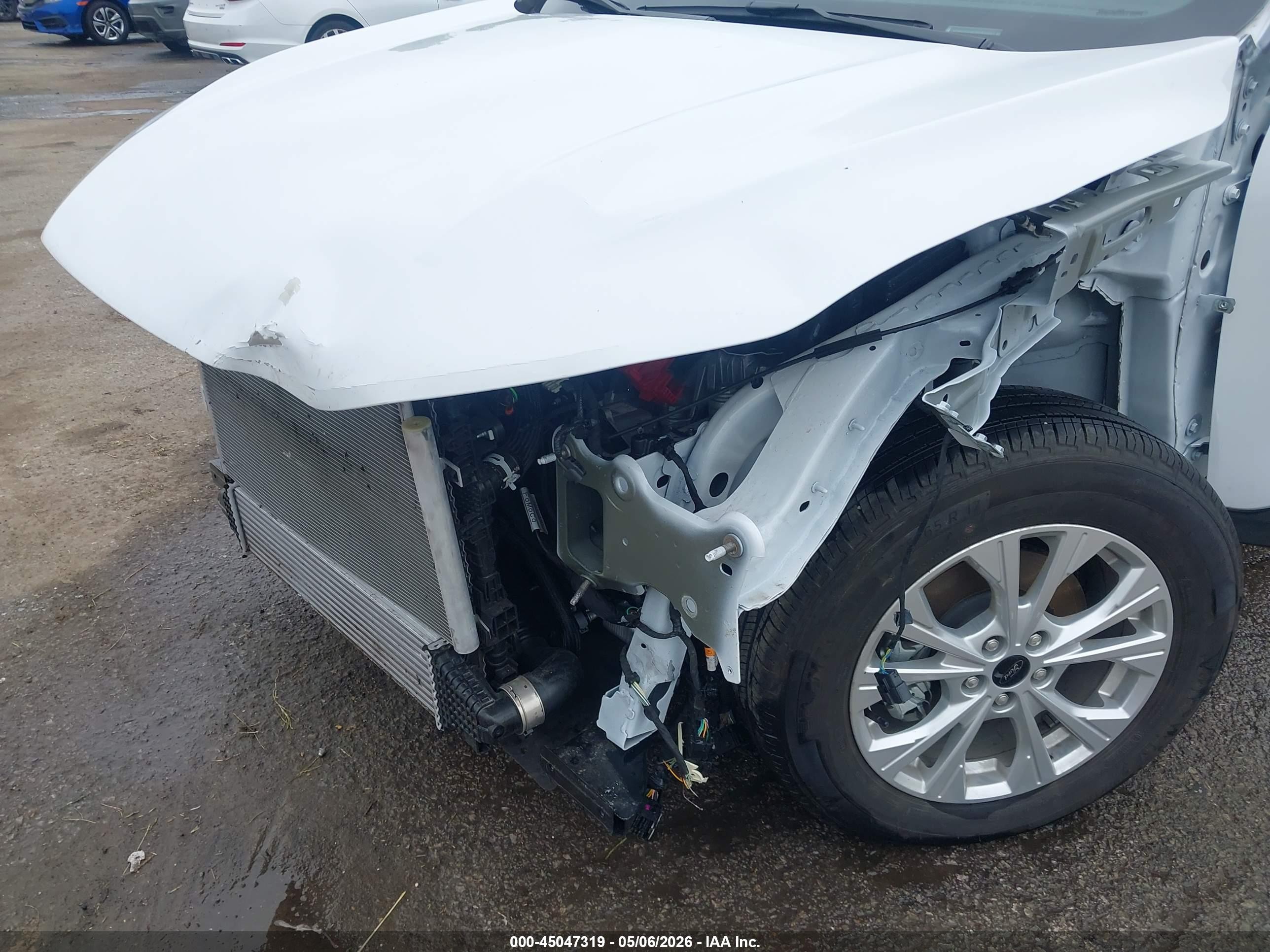 2025 Ford Escape Active White vin: 1FMCU0GN2SUB17251