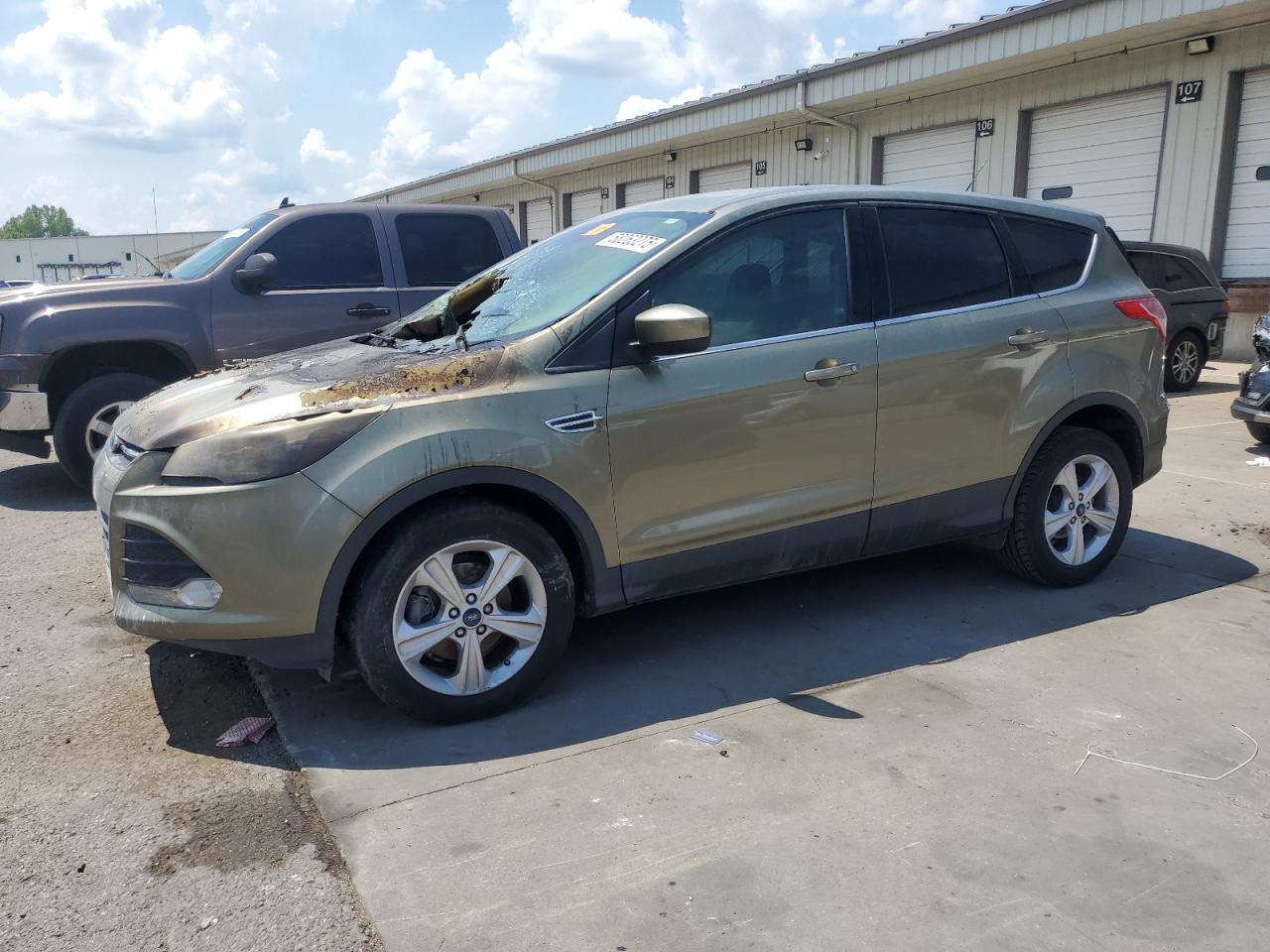 2013 Ford Escape Se Green vin: 1FMCU0GX0DUD32583