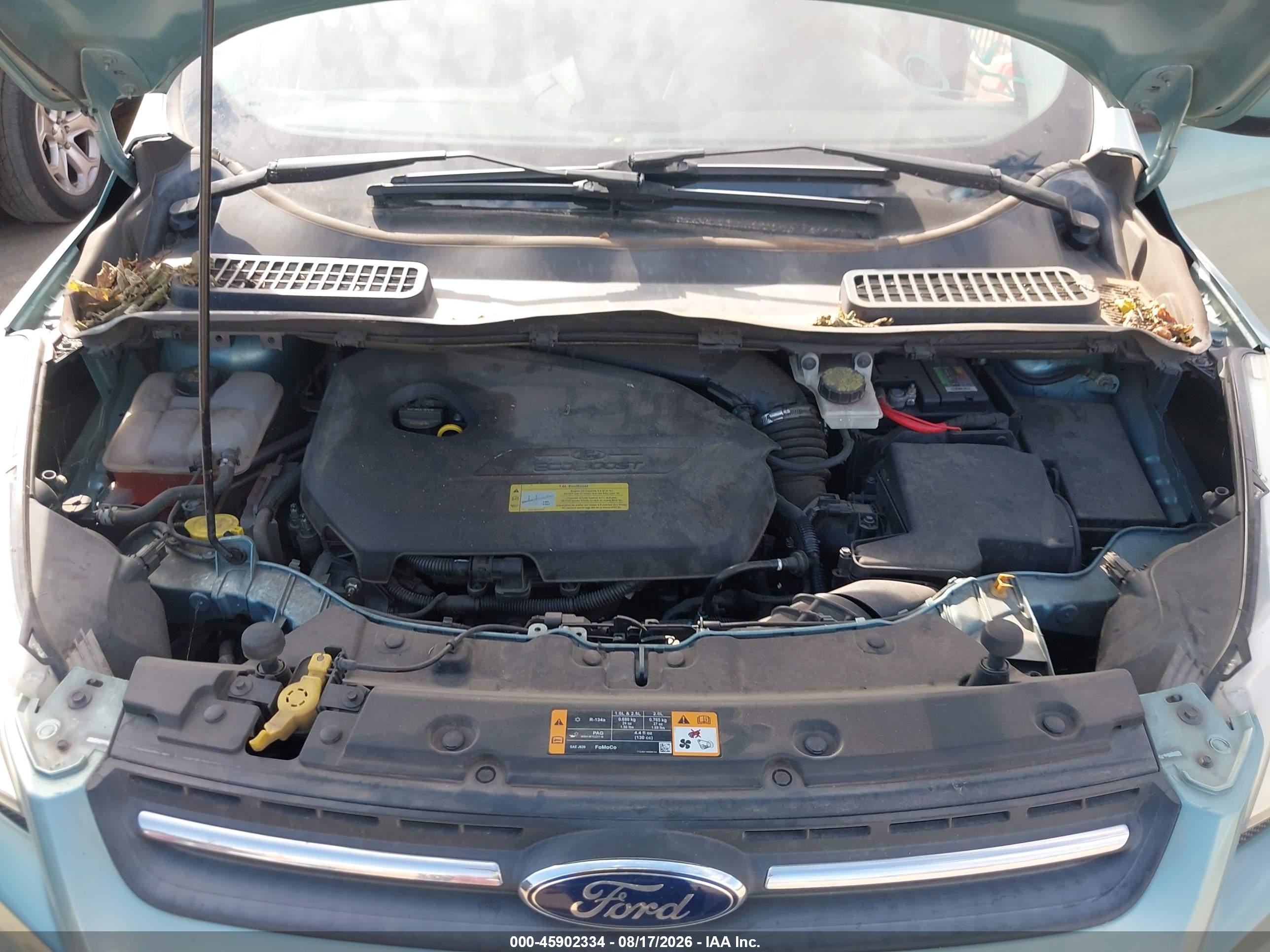 2013 Ford Escape Se Green vin: 1FMCU0GX0DUD70458