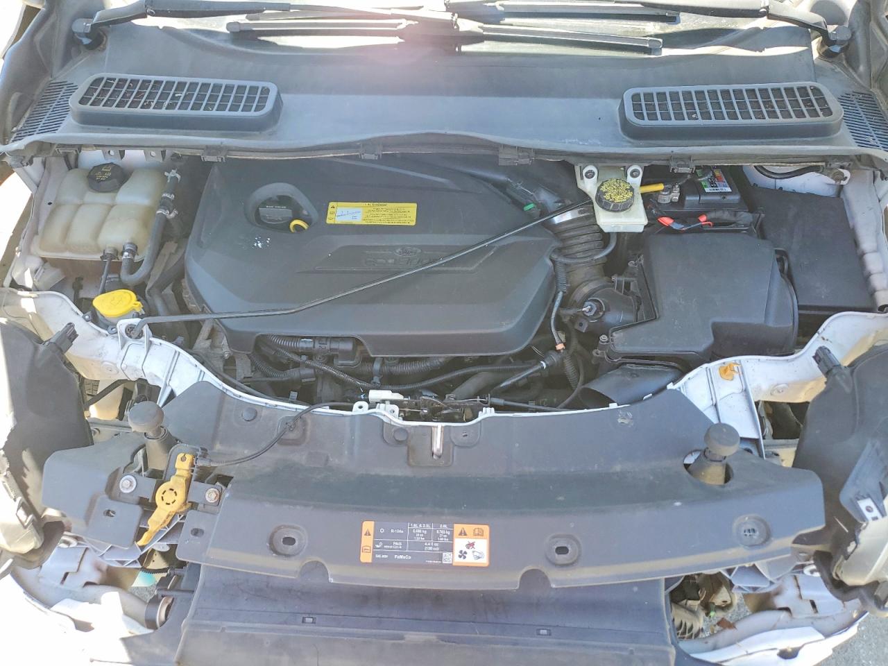 2014 Ford Escape Se White vin: 1FMCU0GX0EUC01252