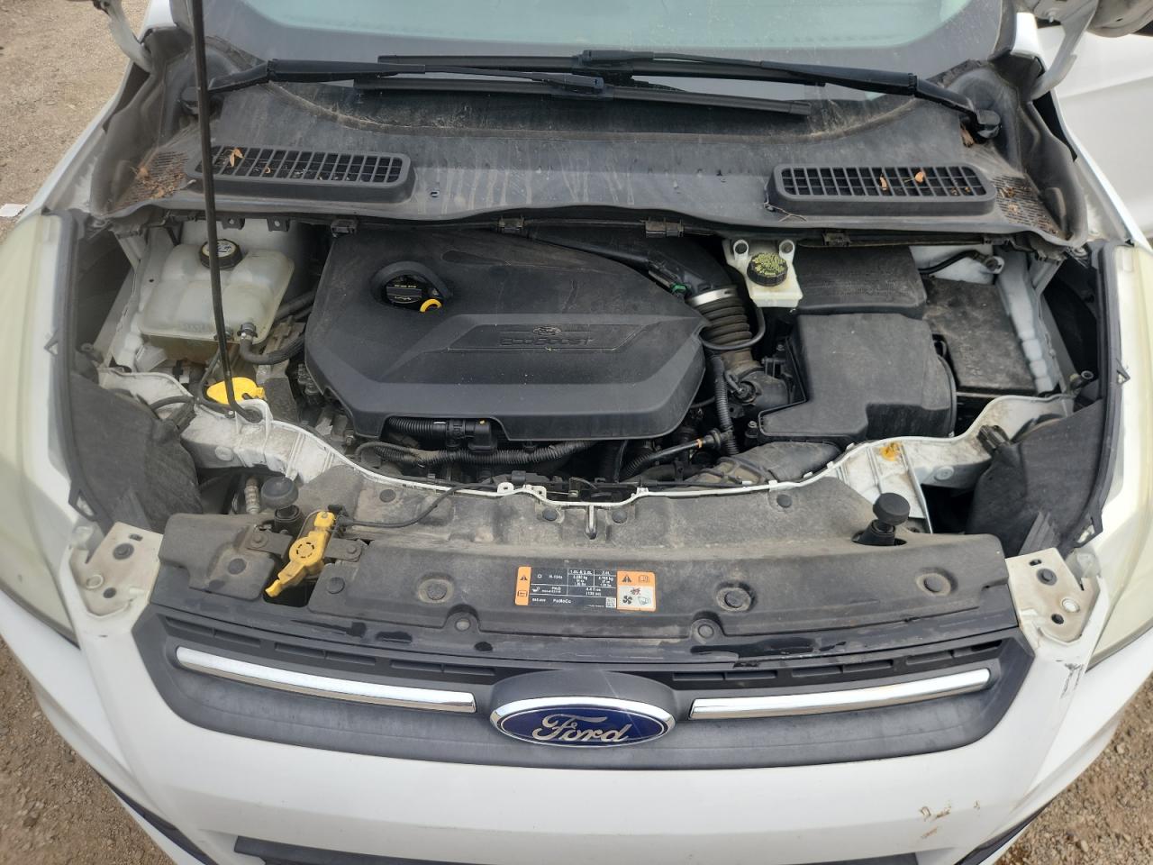 2014 Ford Escape Se White vin: 1FMCU0GX0EUE00768