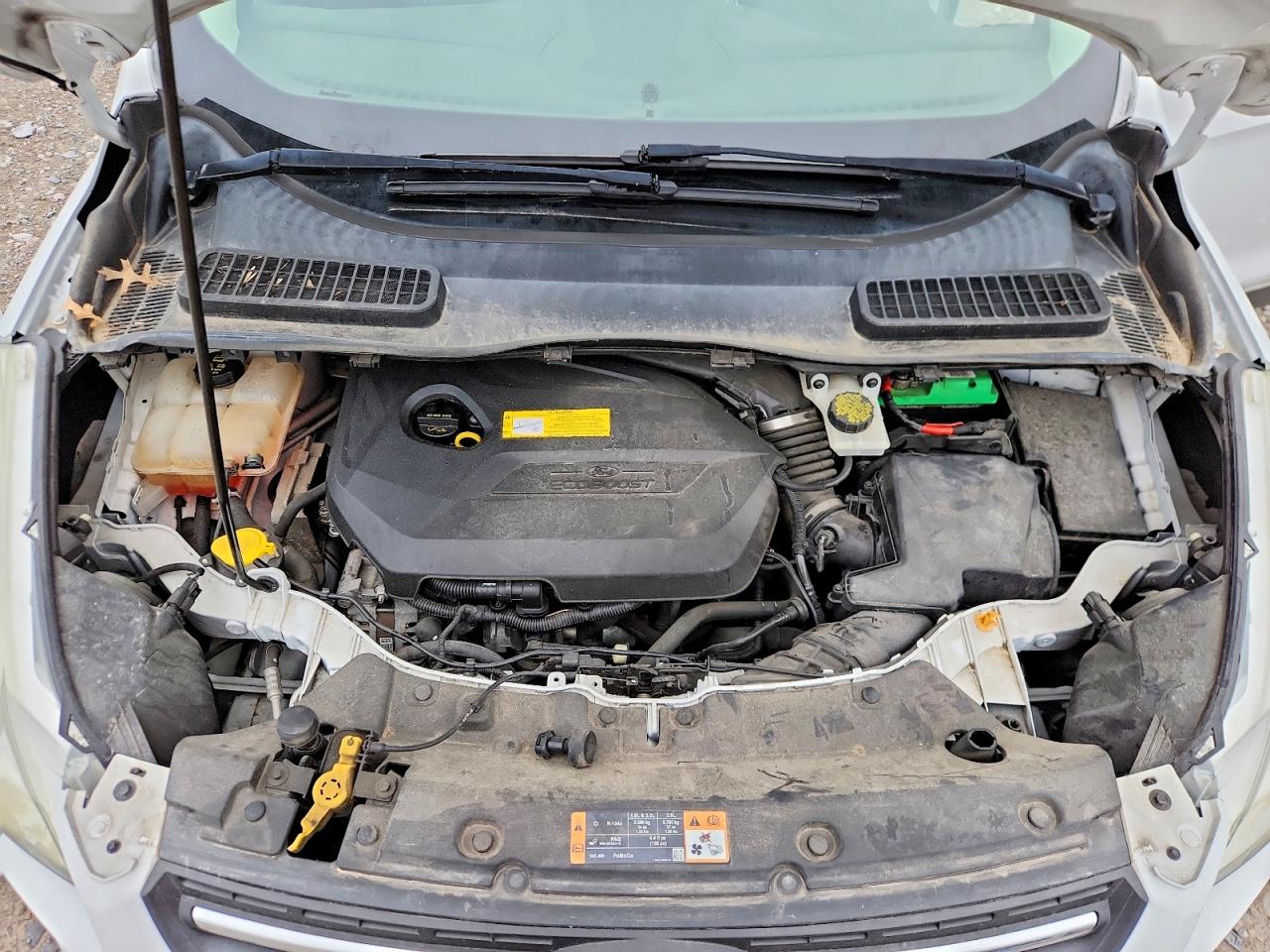 2015 Ford Escape Se White vin: 1FMCU0GX0FUB06059