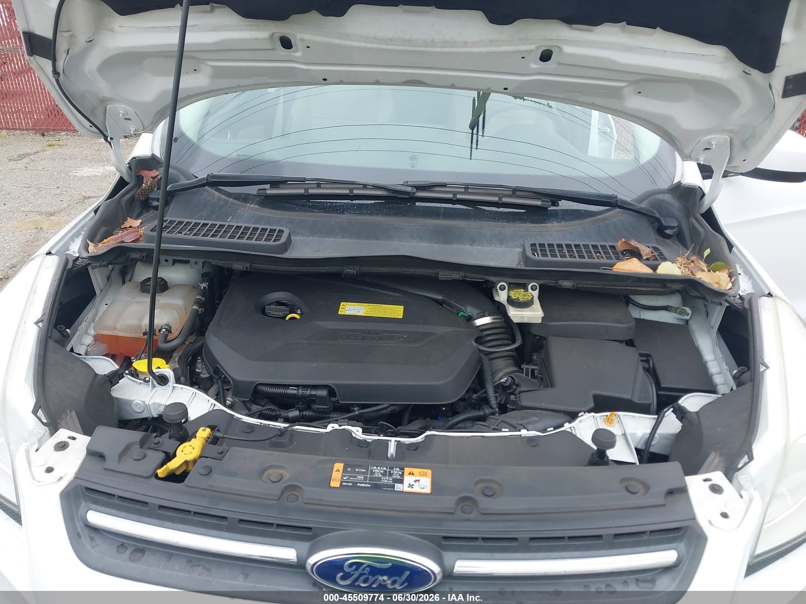 2014 Ford Escape Se White vin: 1FMCU0GX1EUA77508