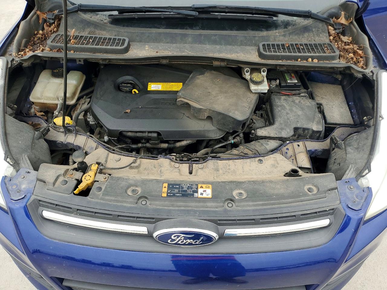 2016 Ford Escape Se Blue vin: 1FMCU0GX1GUC04891