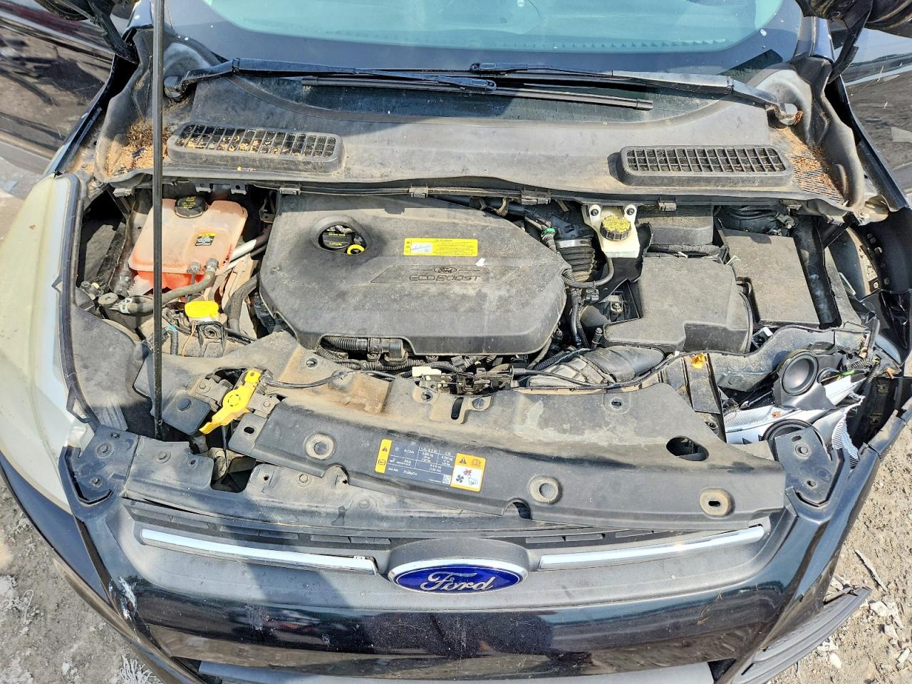 2013 Ford Escape Se Black vin: 1FMCU0GX2DUD36568