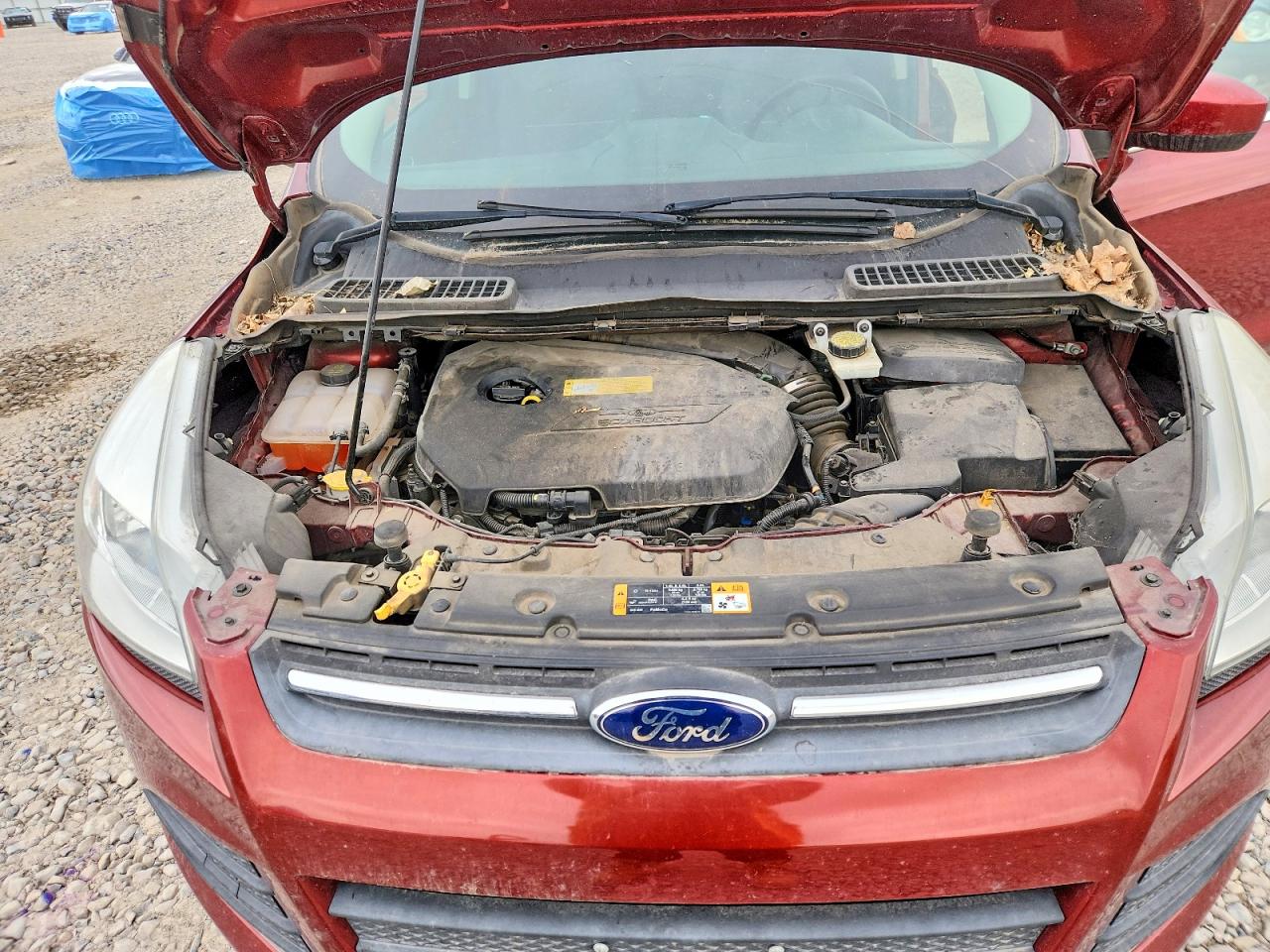 2014 Ford Escape Se Red vin: 1FMCU0GX2EUA13378