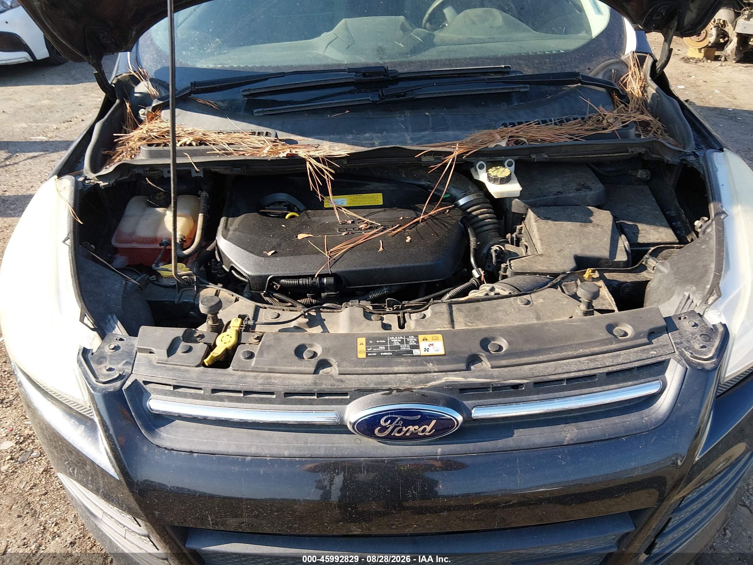2014 Ford Escape Se Black vin: 1FMCU0GX2EUB96538
