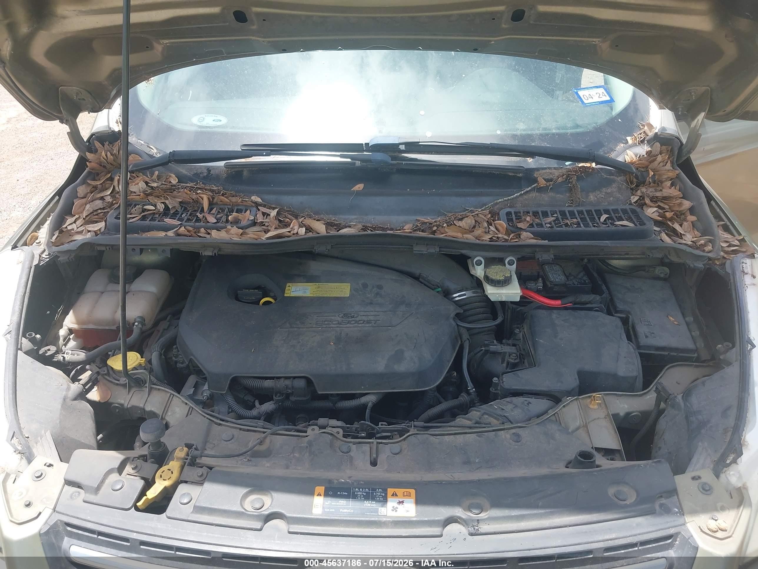 2013 Ford Escape Se Green vin: 1FMCU0GX3DUC32039