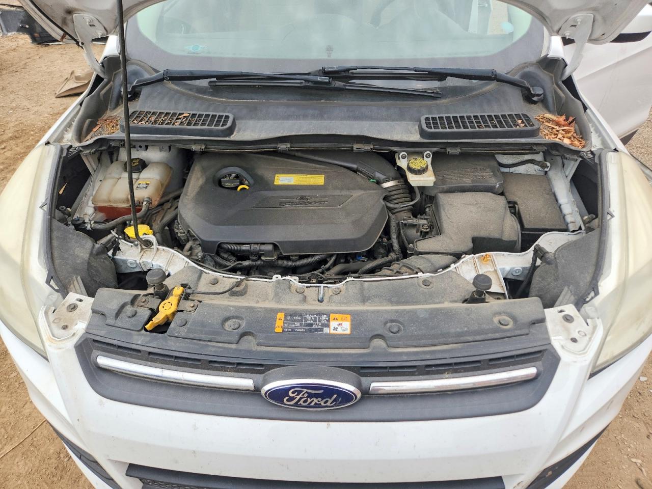 2013 Ford Escape Se White vin: 1FMCU0GX3DUD19200