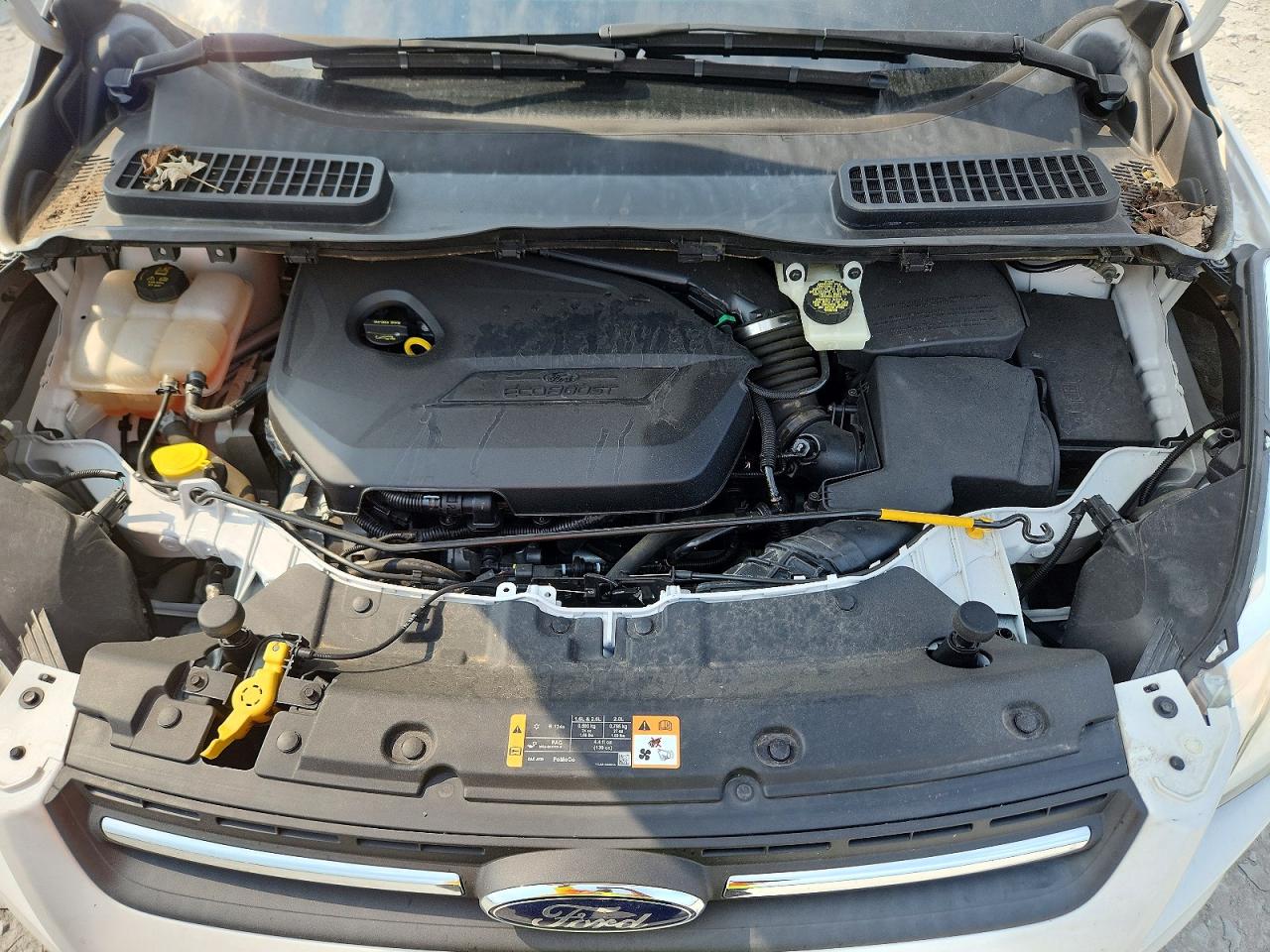 2014 Ford Escape Se Белый vin: 1FMCU0GX3EUD84789