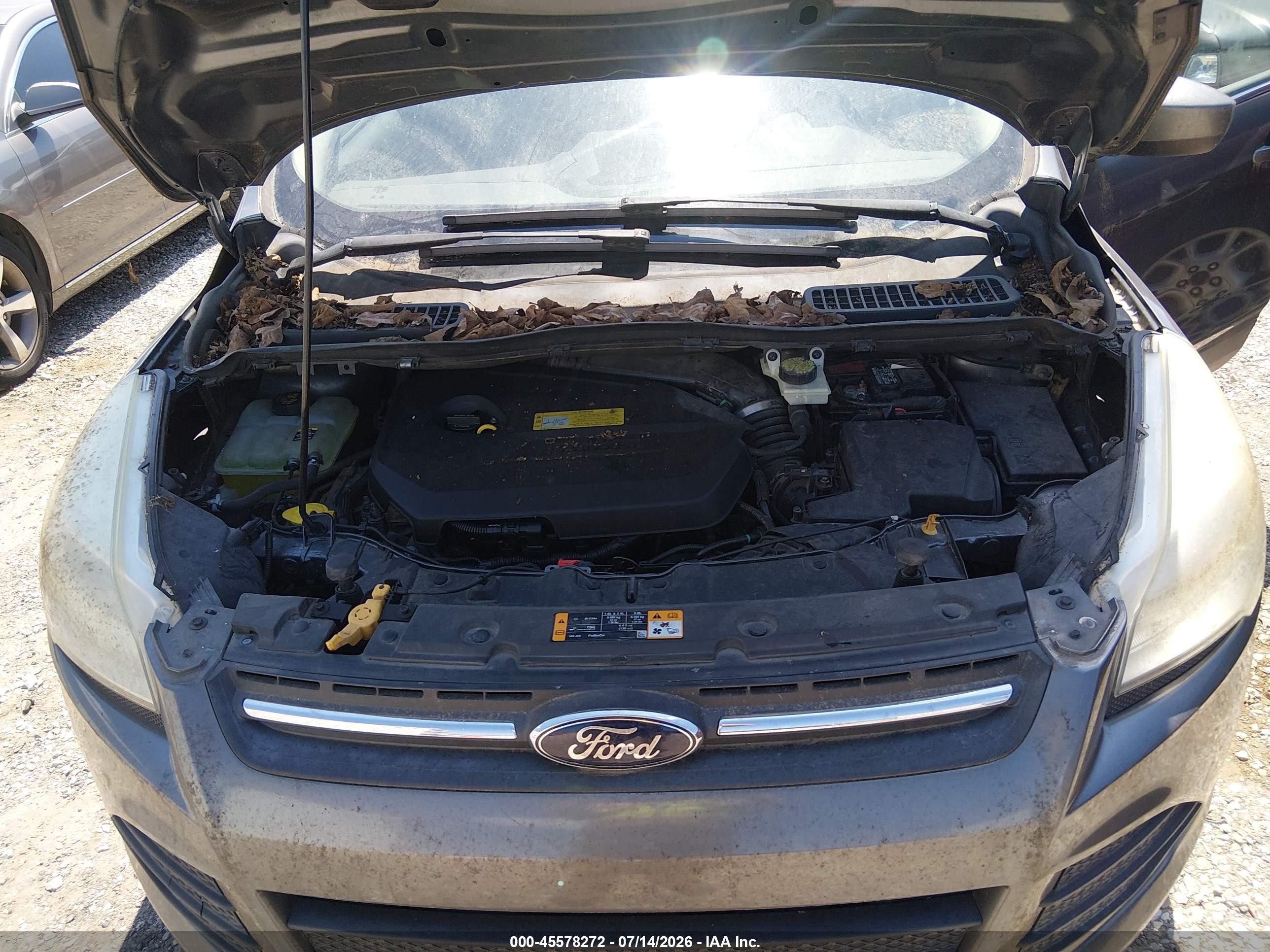 2013 Ford Escape Se Gray vin: 1FMCU0GX4DUB24903