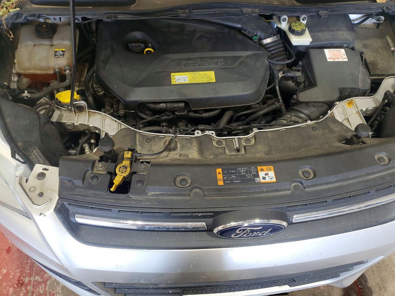 2013 Ford Escape Se Белый vin: 1FMCU0GX4DUC19199