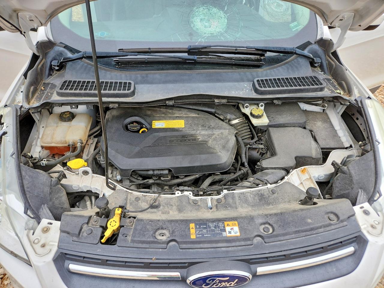2013 Ford Escape Se White vin: 1FMCU0GX4DUD27239