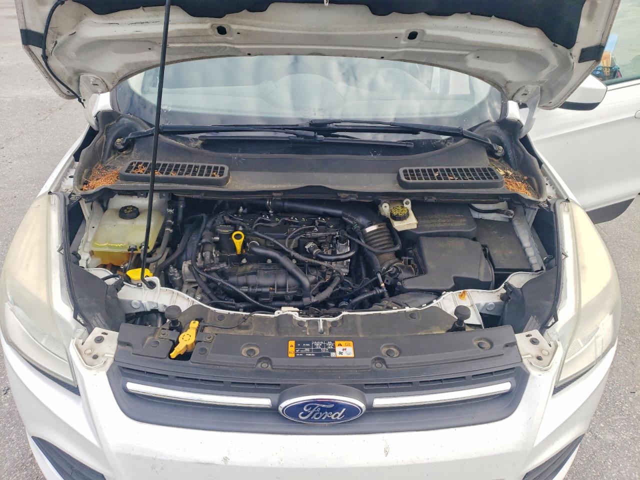 2014 Ford Escape Se White vin: 1FMCU0GX4EUA02396