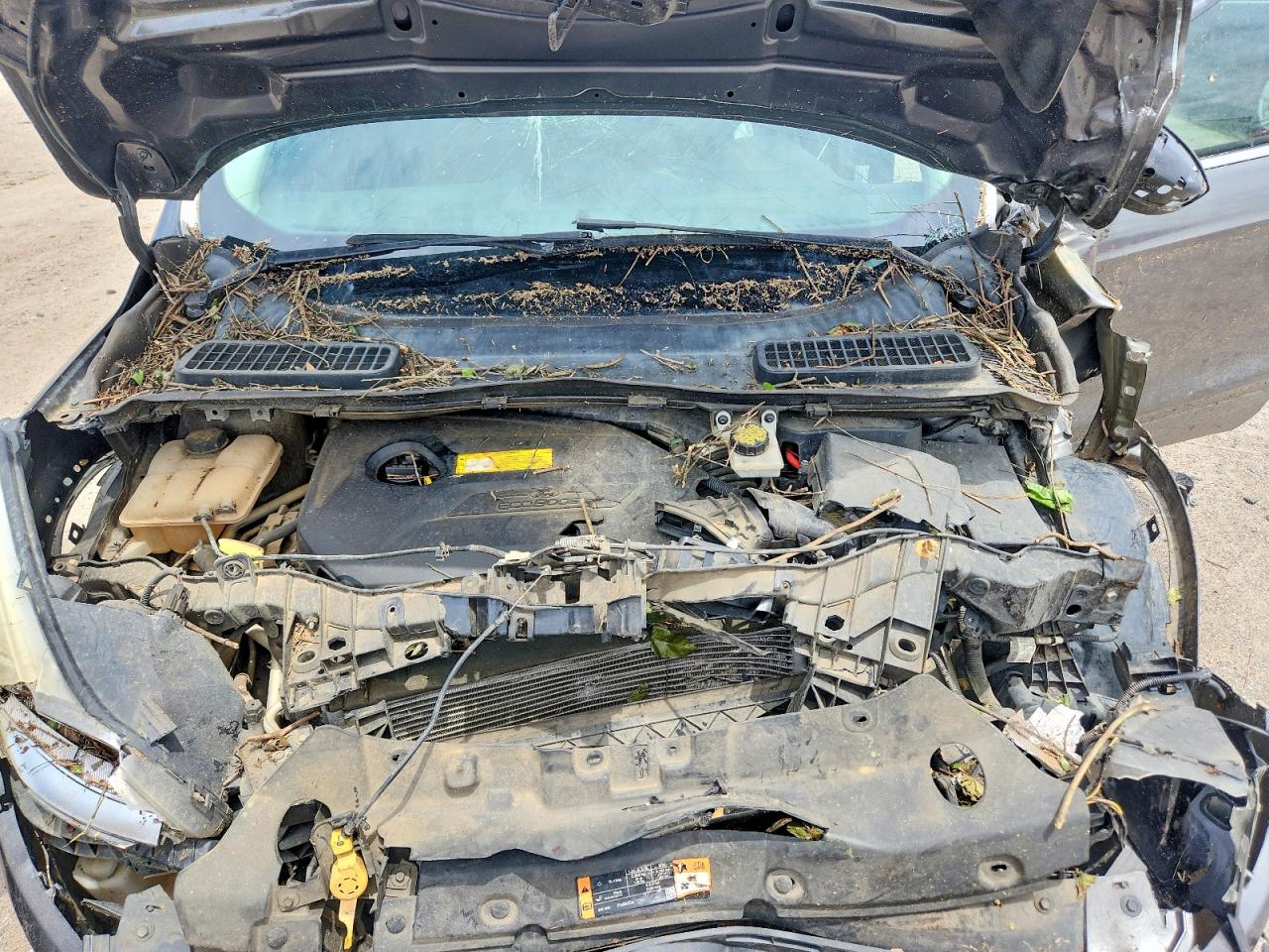 2015 Ford Escape Se Серый vin: 1FMCU0GX4FUC55249