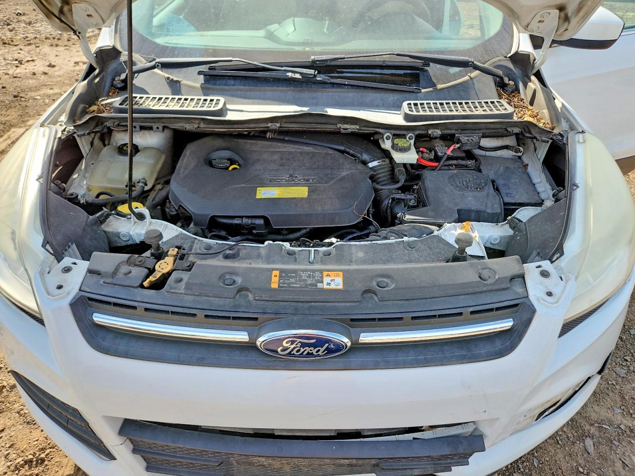 2013 Ford Escape Se White vin: 1FMCU0GX5DUA74299
