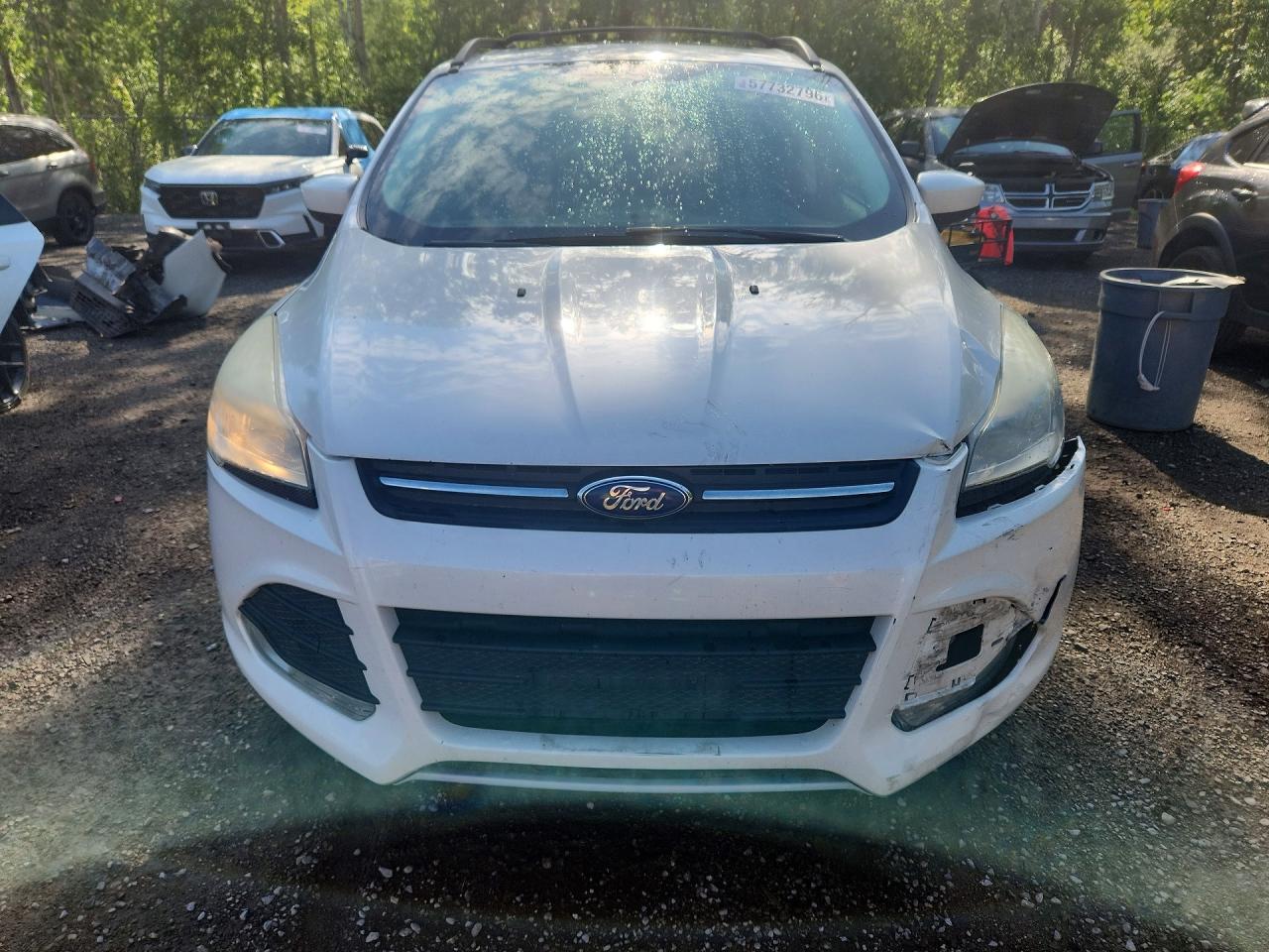 2013 Ford Escape Se Белый vin: 1FMCU0GX5DUD26648