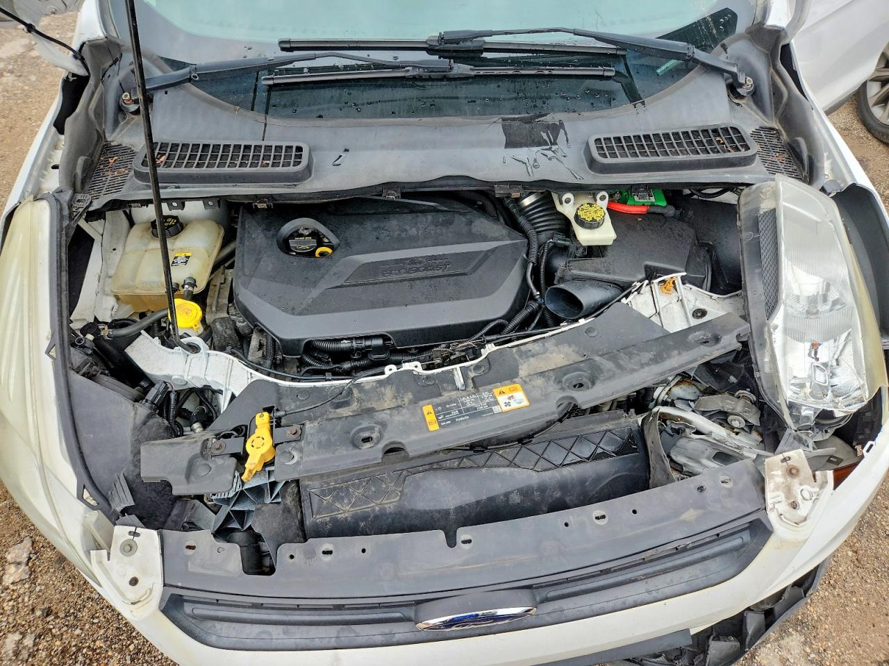 2013 Ford Escape Se White vin: 1FMCU0GX5DUD47659