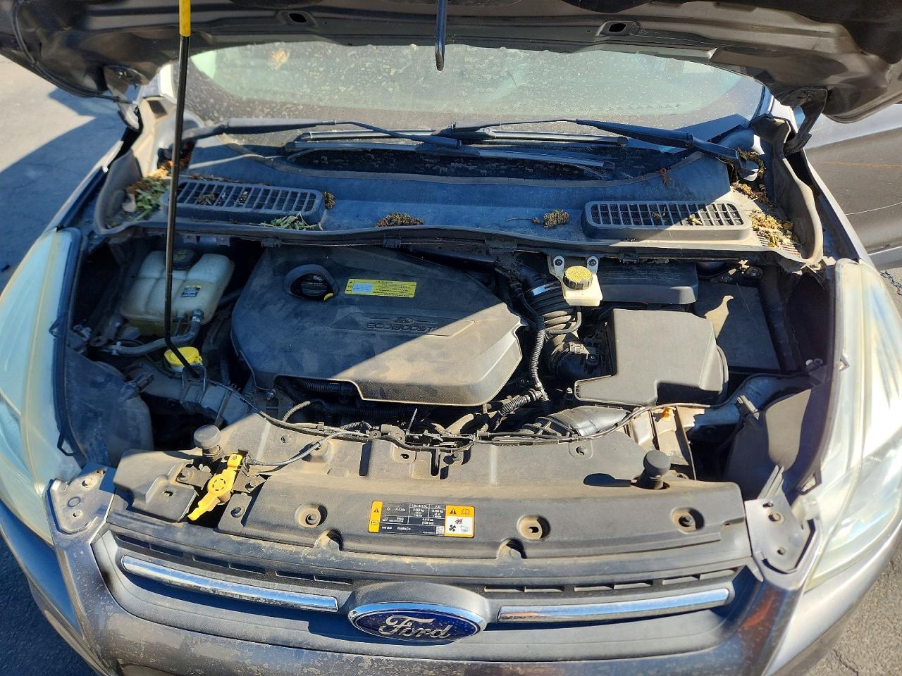2013 Ford Escape Se Gray vin: 1FMCU0GX5DUD87756