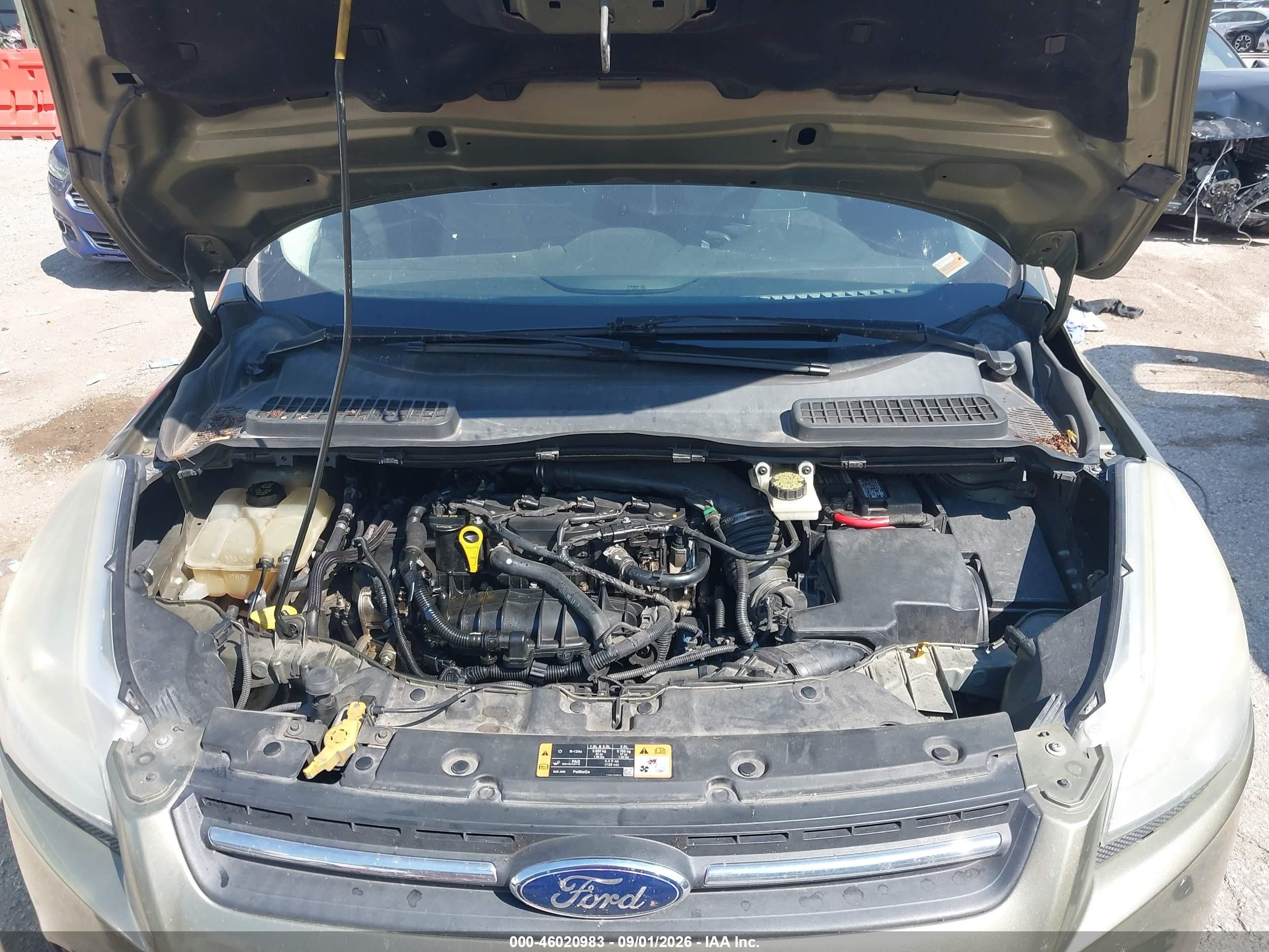 2014 Ford Escape Se Green vin: 1FMCU0GX5EUA44513