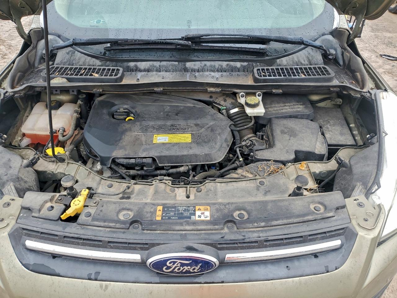 2014 Ford Escape Se Green vin: 1FMCU0GX5EUA77107