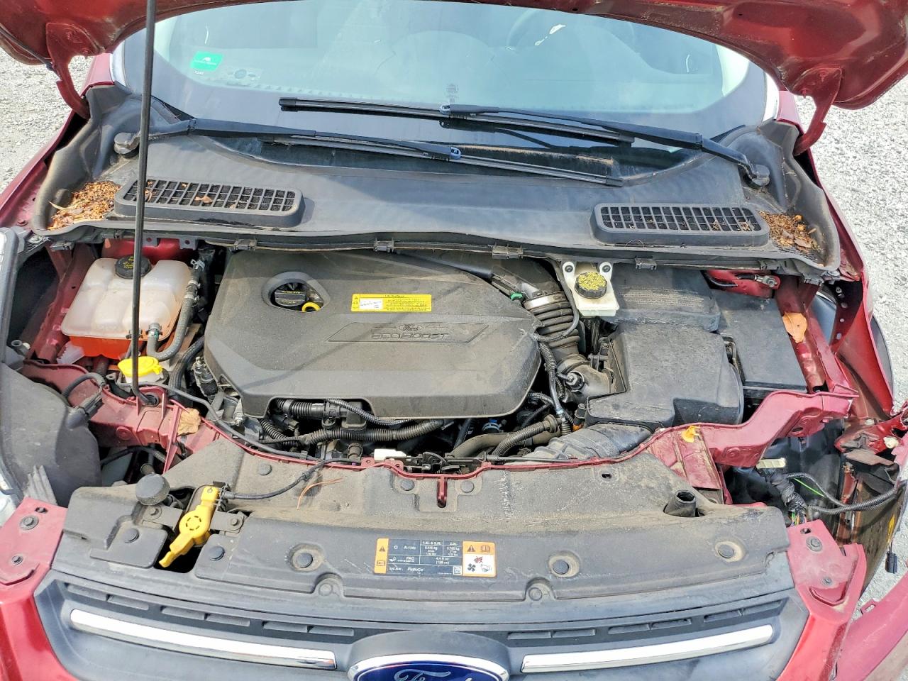 2014 Ford Escape Se Red vin: 1FMCU0GX5EUB04998