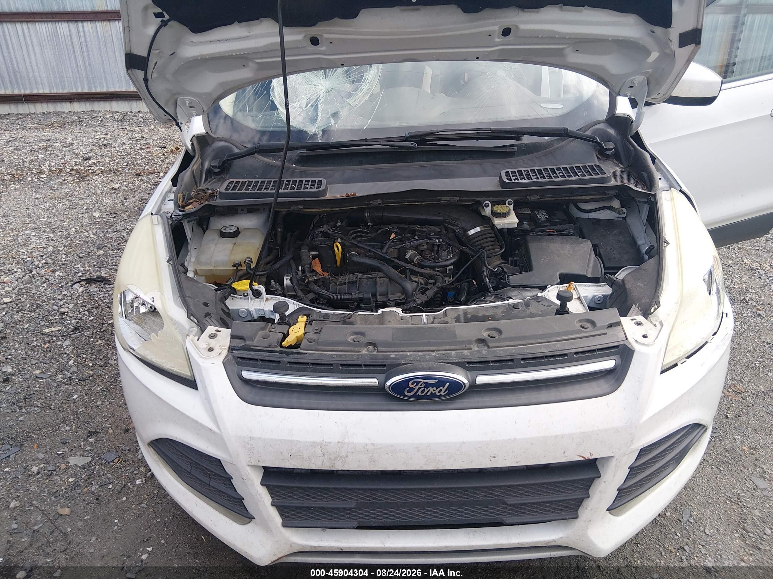 2014 Ford Escape Se White vin: 1FMCU0GX5EUE42059