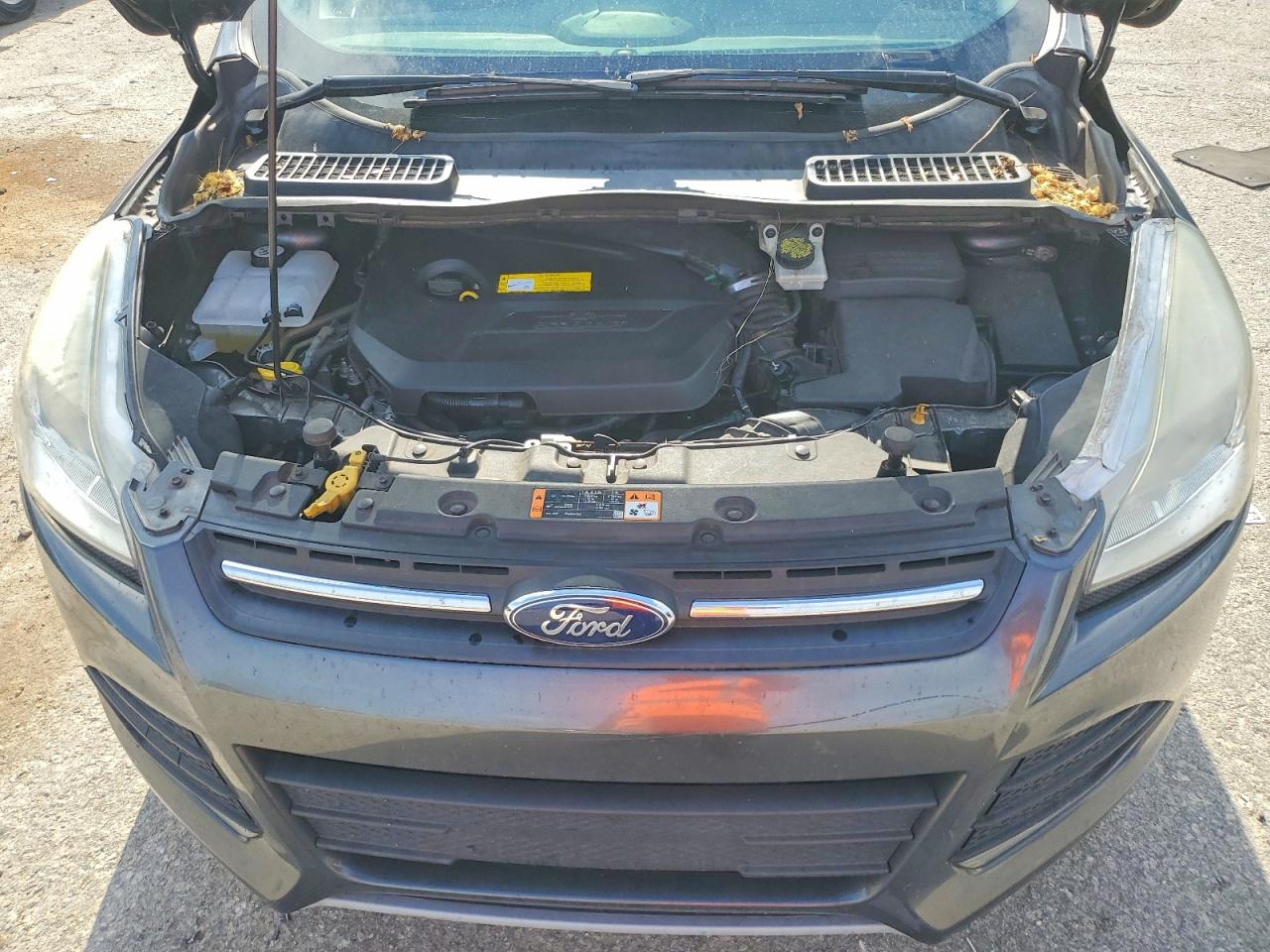 2015 Ford Escape Se Gray vin: 1FMCU0GX5FUB36271