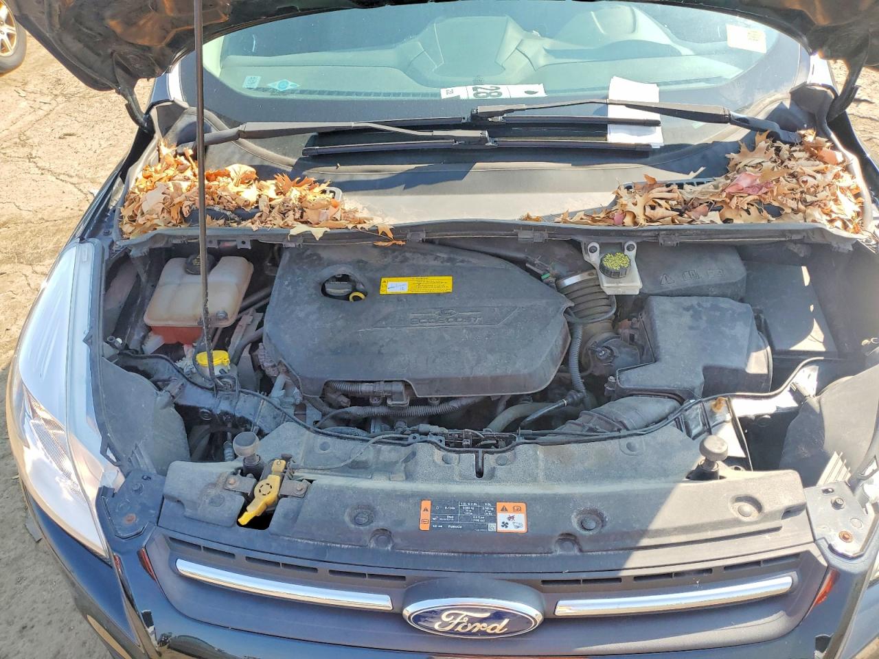 2015 Ford Escape Se Black vin: 1FMCU0GX5FUC23782