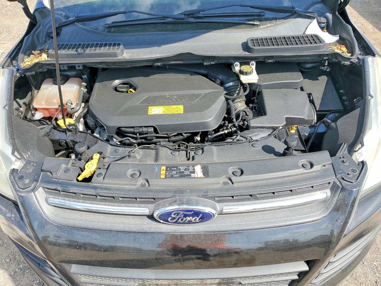 2014 Ford Escape Se Black vin: 1FMCU0GX6EUC46549