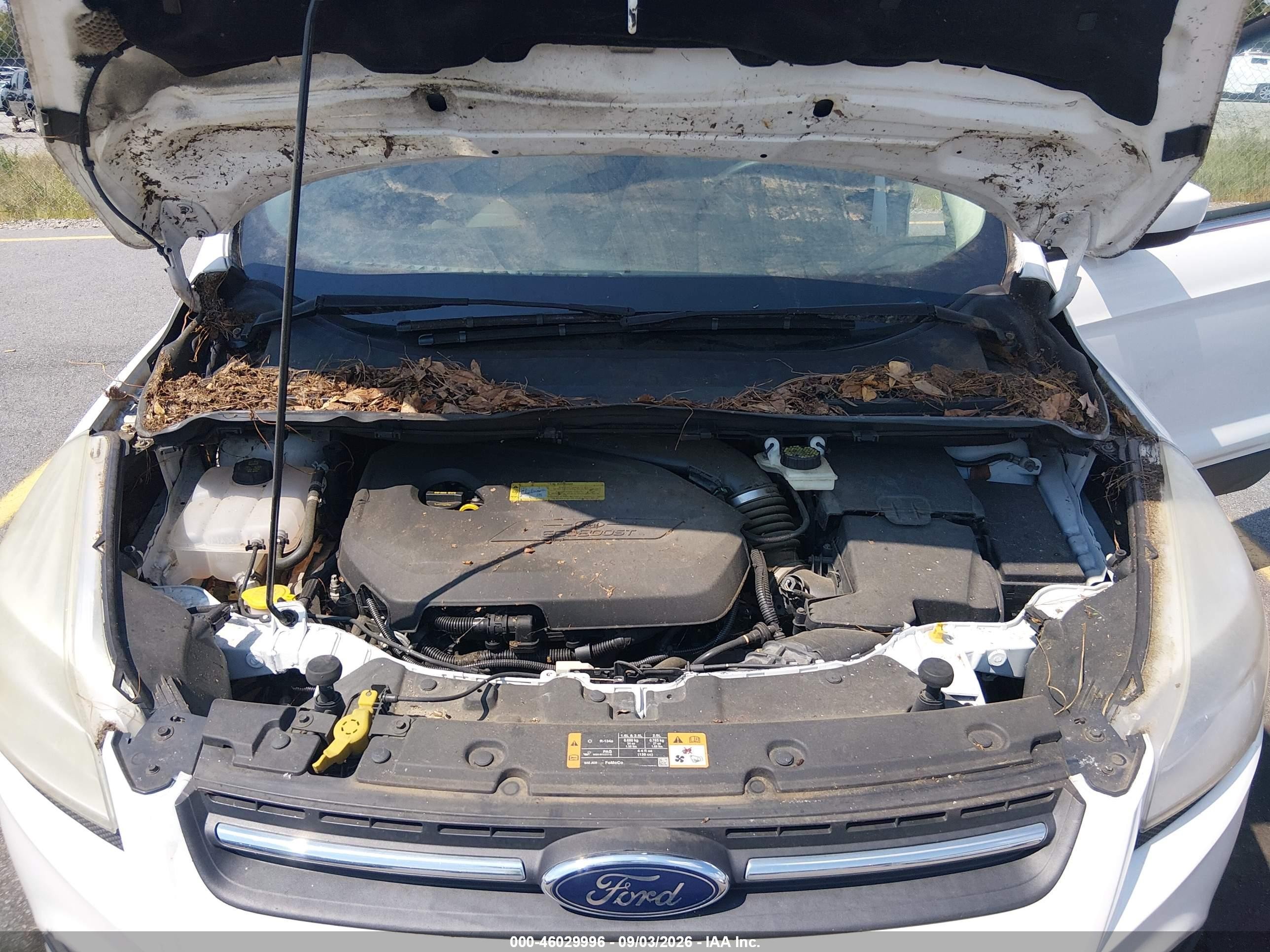 2014 Ford Escape Se White vin: 1FMCU0GX6EUD02599
