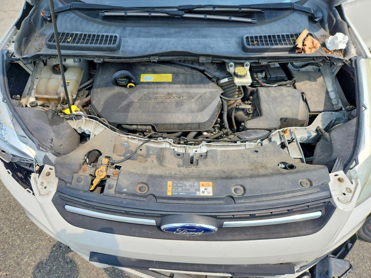 2013 Ford Escape Se White vin: 1FMCU0GX7DUC66212