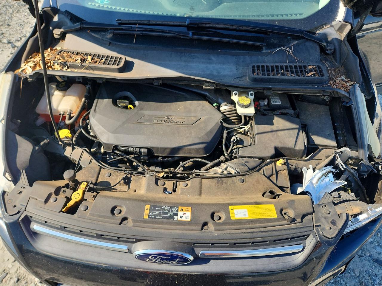 2014 Ford Escape Se Black vin: 1FMCU0GX7EUA58185