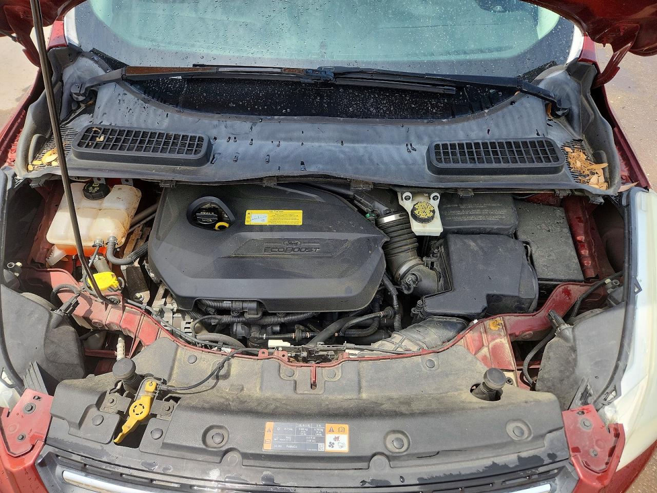 2014 Ford Escape Se Orange vin: 1FMCU0GX7EUD22280