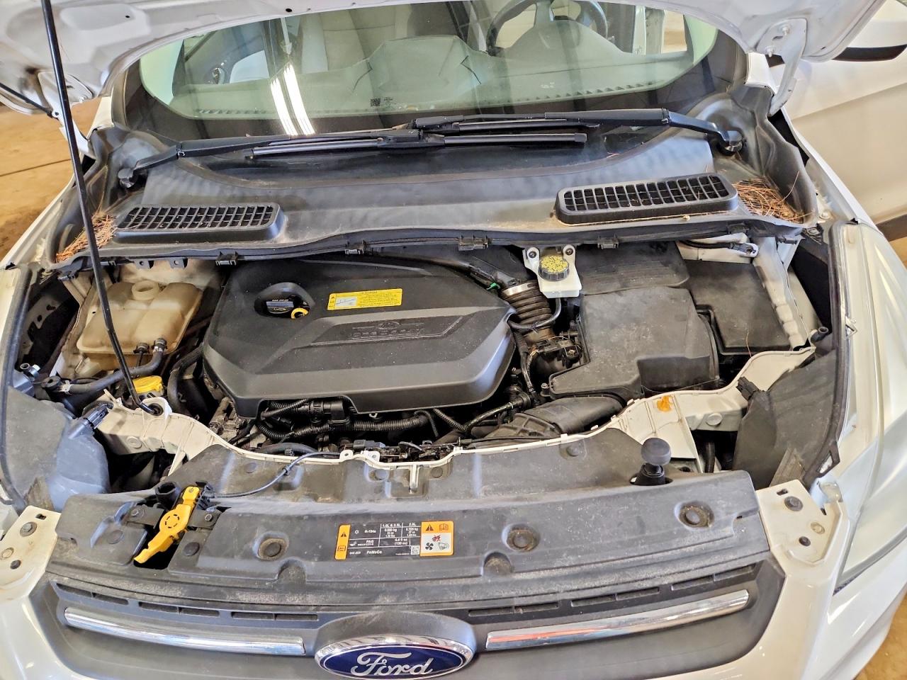 2013 Ford Escape Se White vin: 1FMCU0GX8DUB74073