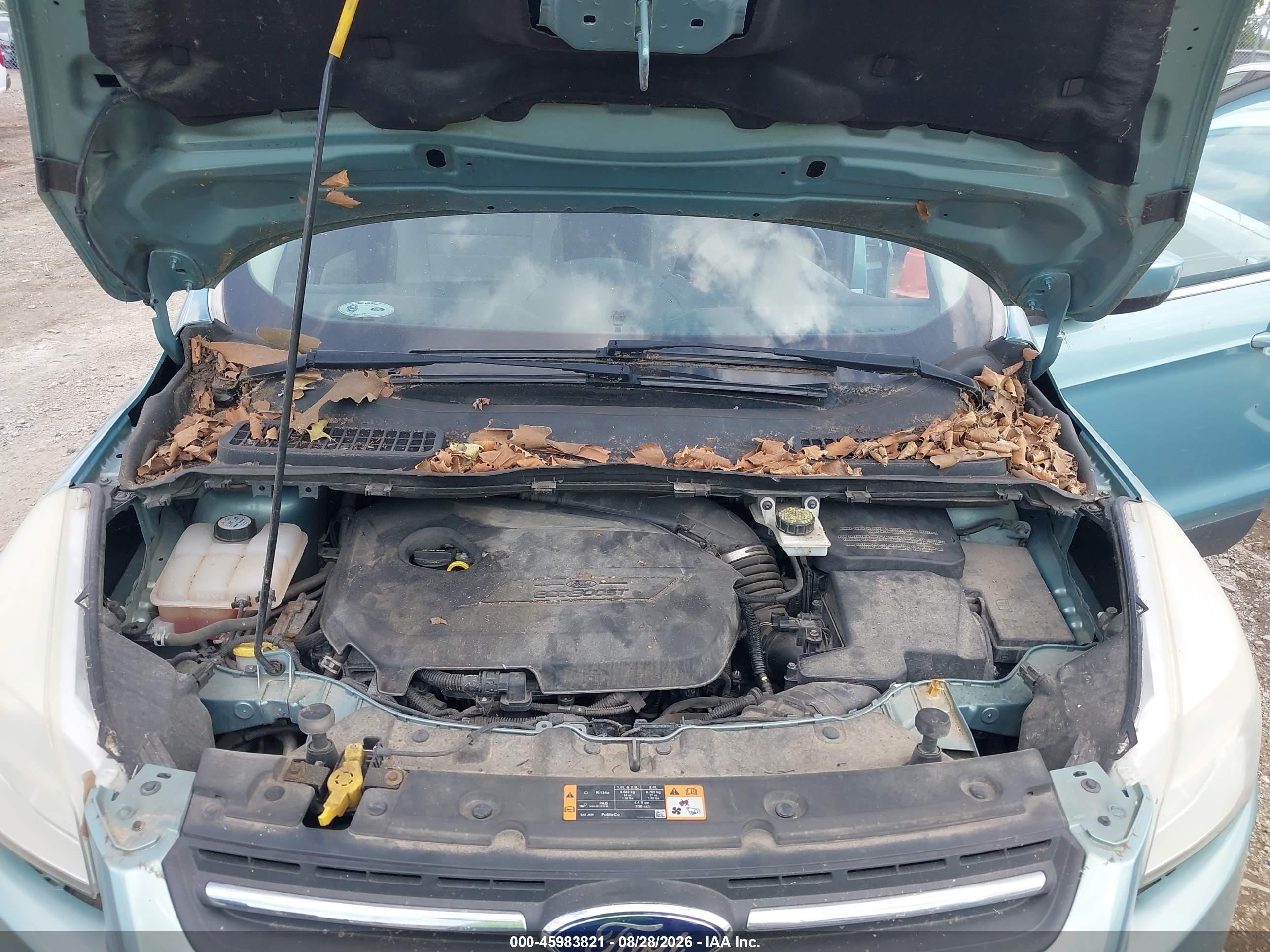 2013 Ford Escape Se Turquoise vin: 1FMCU0GX8DUC12112