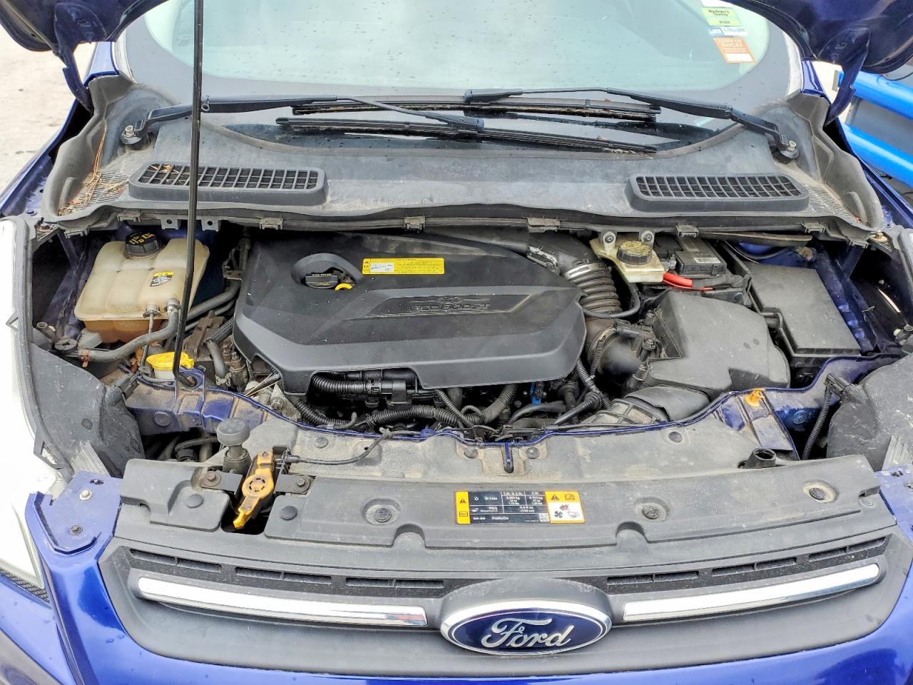 2013 Ford Escape Se Blue vin: 1FMCU0GX8DUC53484
