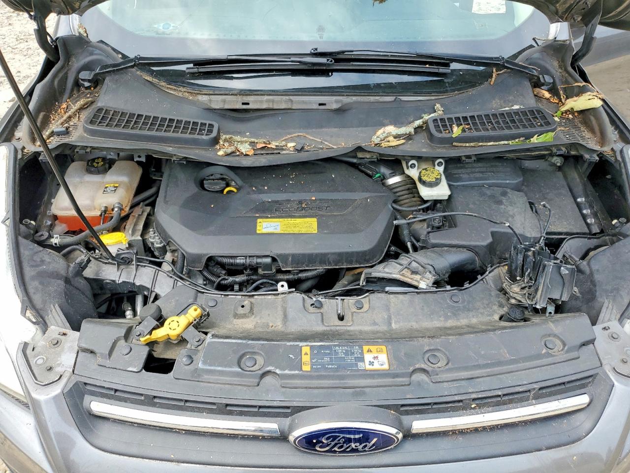 2013 Ford Escape Se Gray vin: 1FMCU0GX8DUD62494