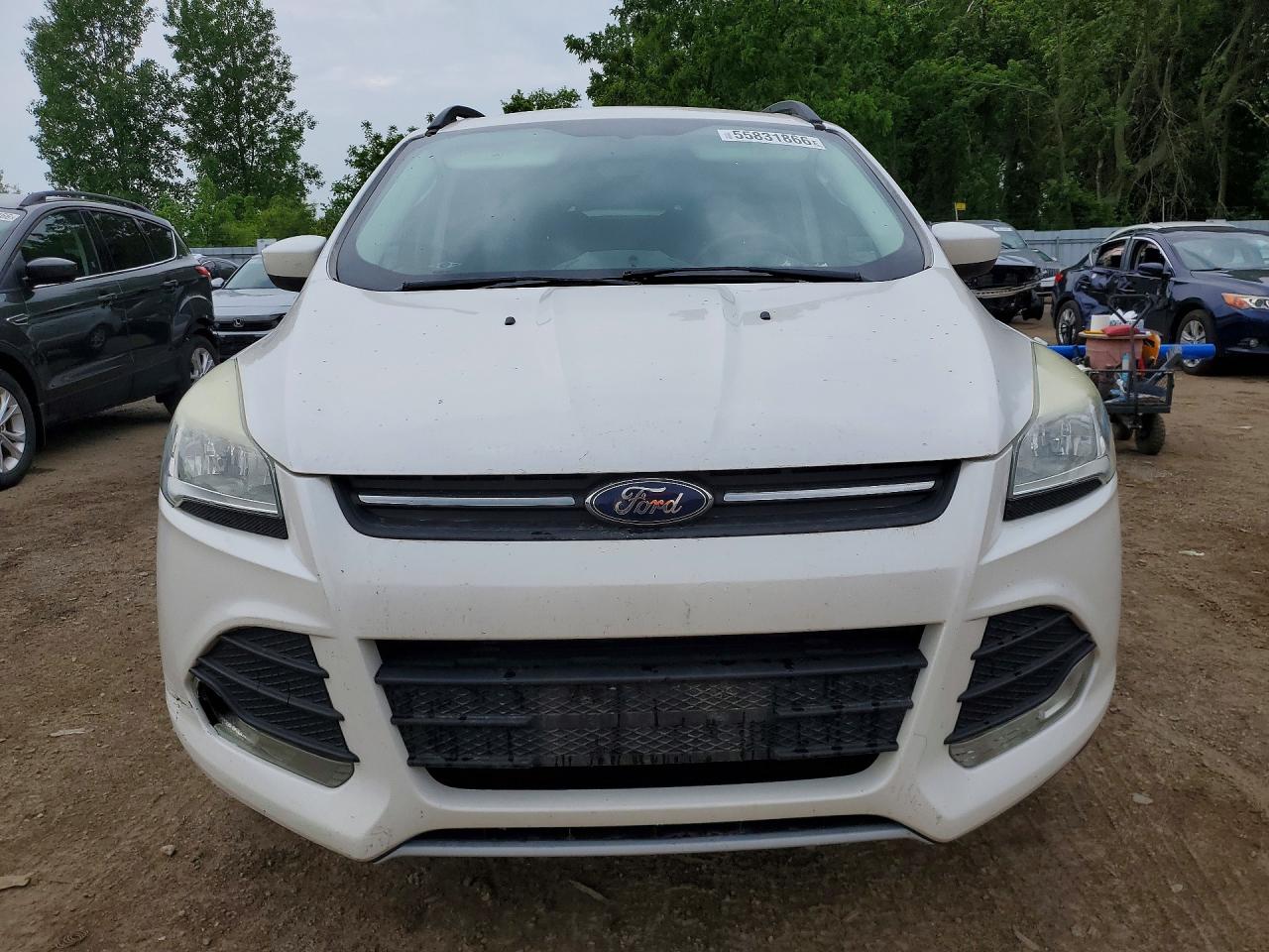 2014 Ford Escape Se White vin: 1FMCU0GX8EUA32159