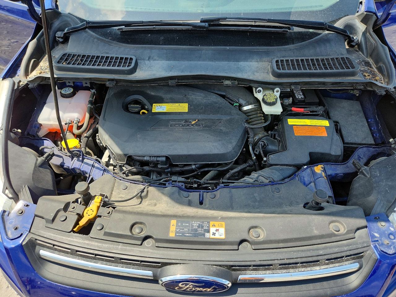 2014 Ford Escape Синий vin: 1FMCU0GX8EUA83497
