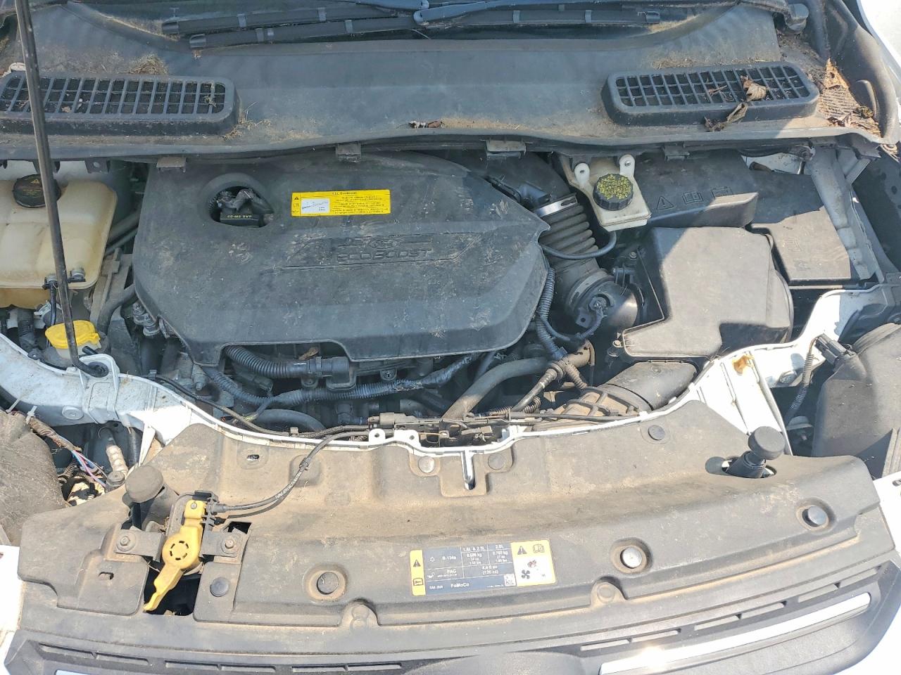 2015 Ford Escape Se White vin: 1FMCU0GX8FUC81787