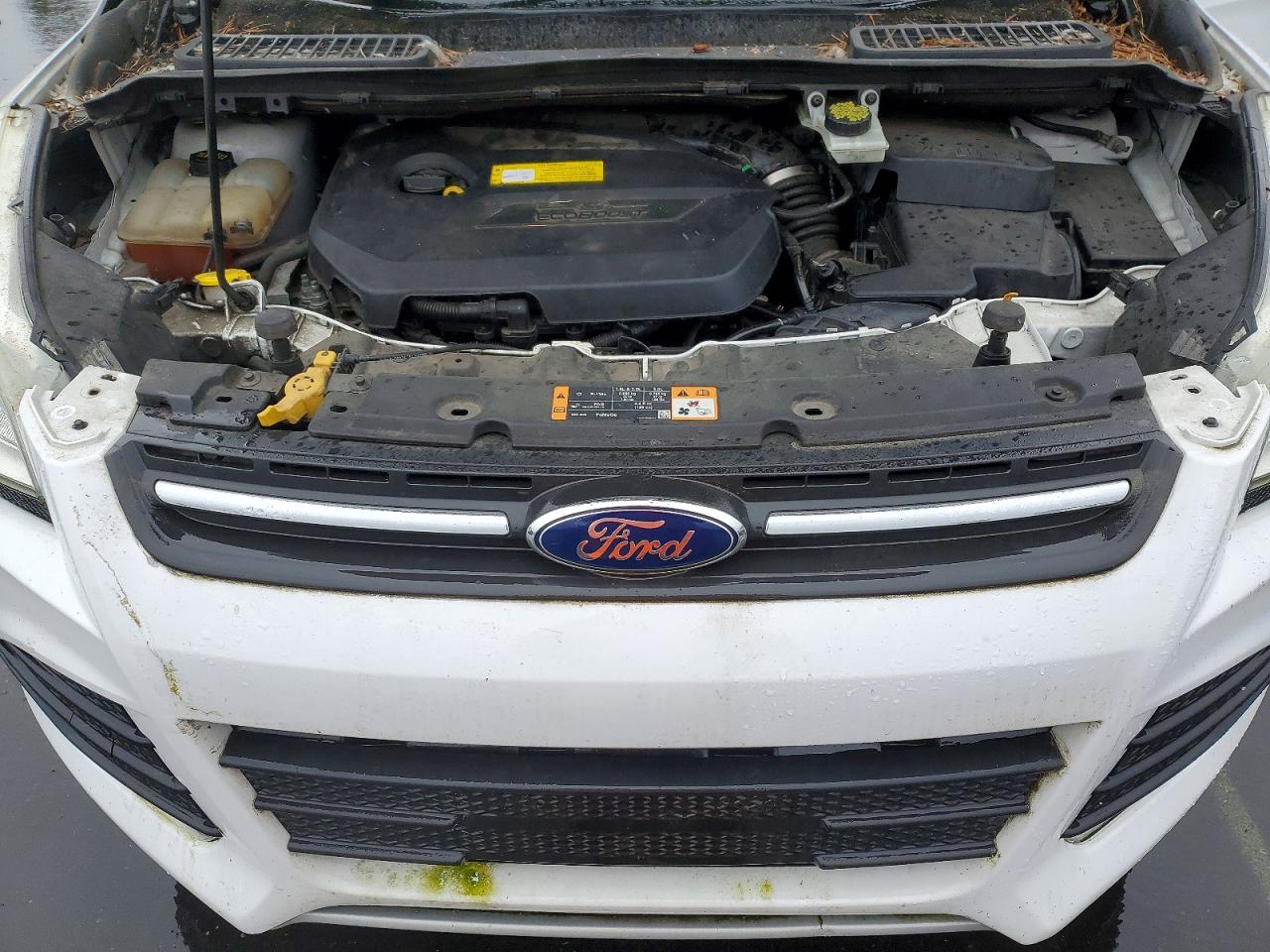 2016 Ford Escape White vin: 1FMCU0GX8GUB41319