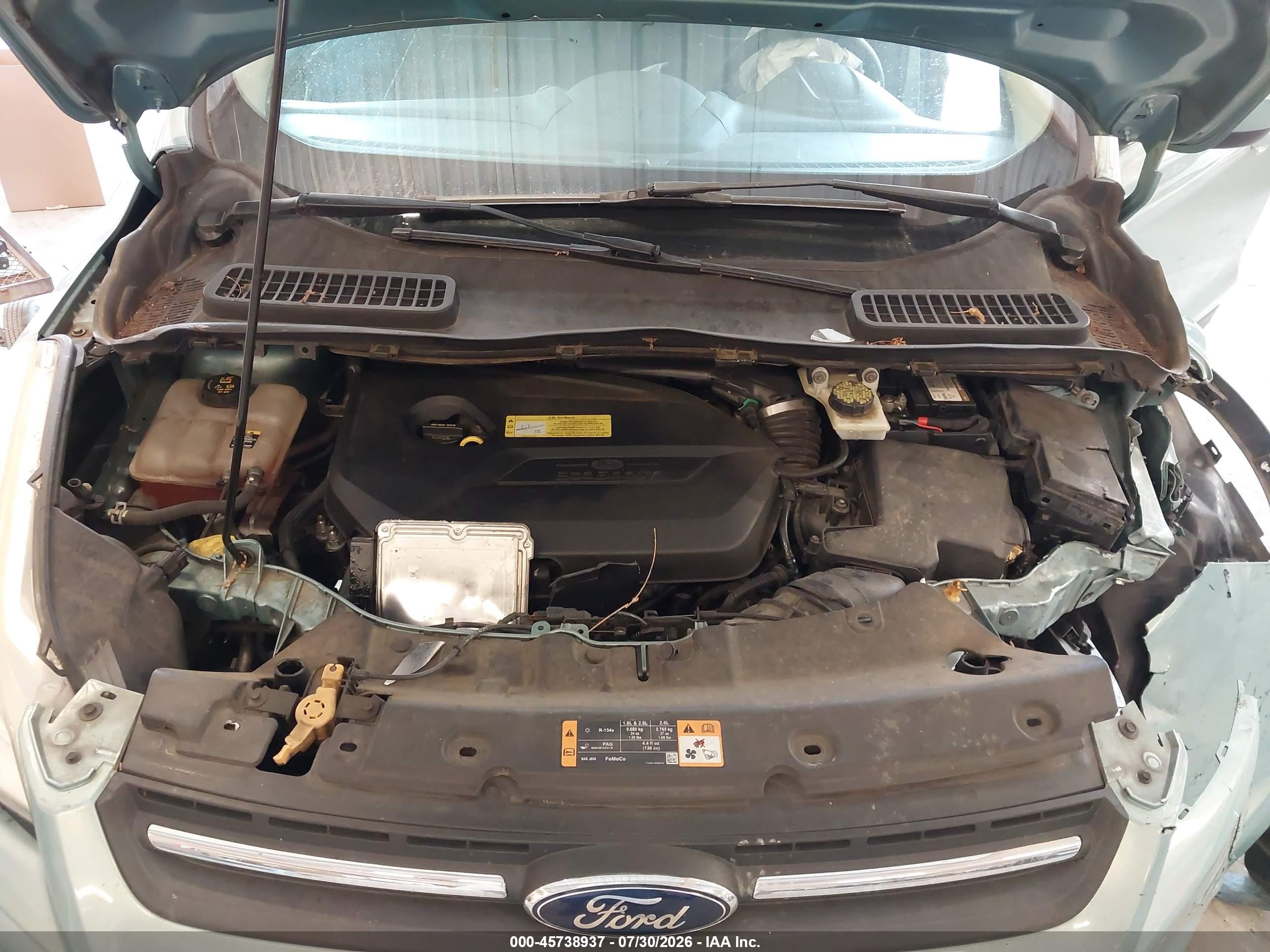 2013 Ford Escape Se Green vin: 1FMCU0GX9DUB68363