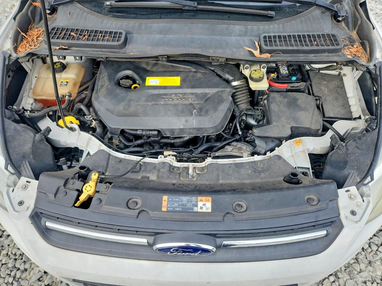 2013 Ford Escape Se White vin: 1FMCU0GX9DUD95228