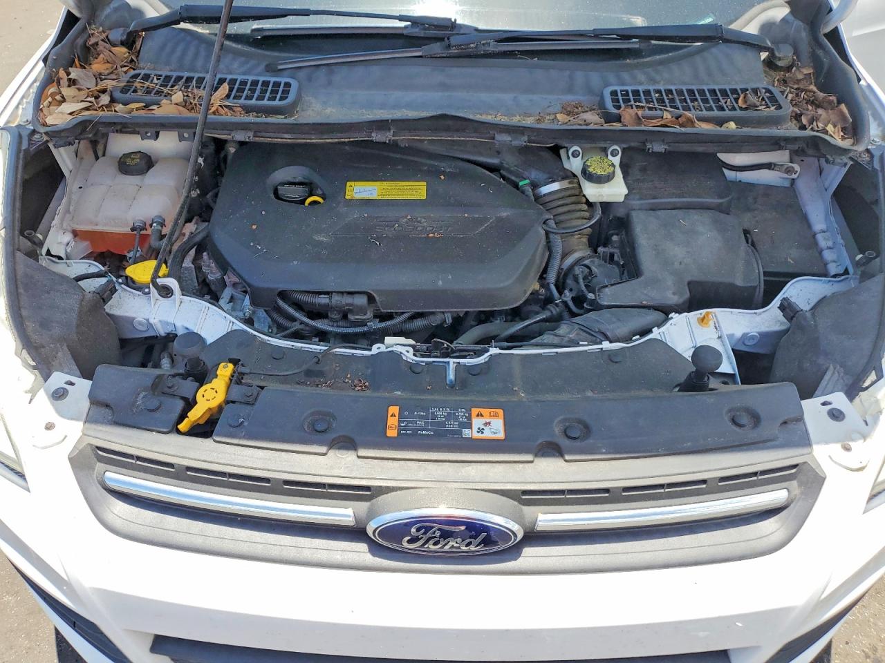 2014 Ford Escape Se Белый vin: 1FMCU0GX9EUC02805