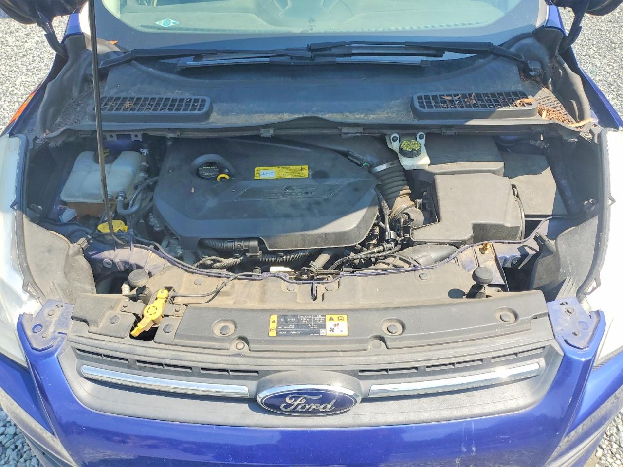 2014 Ford Escape Se Синий vin: 1FMCU0GX9EUC04652
