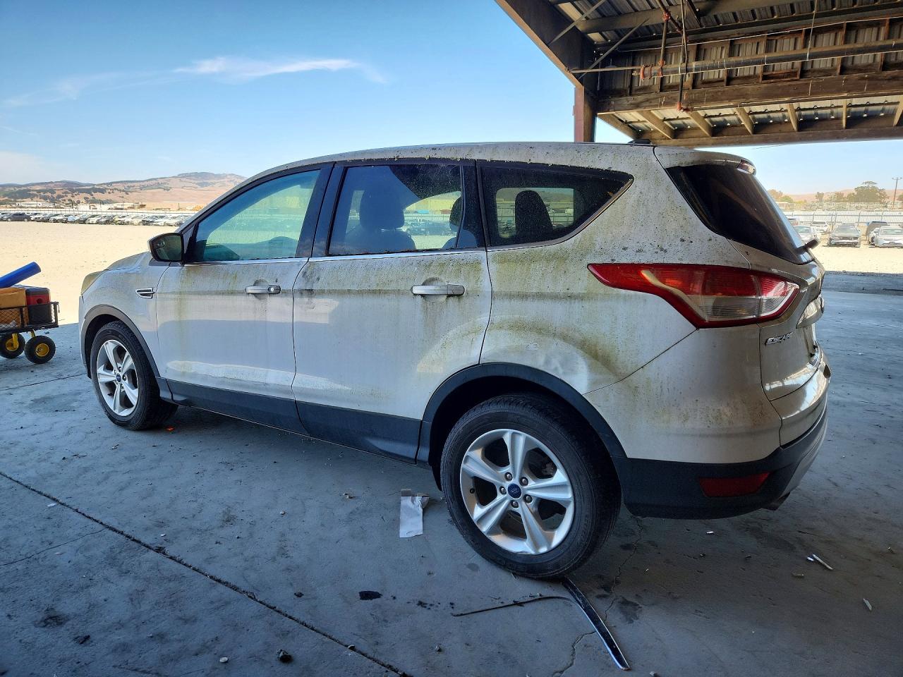 2014 Ford Escape White vin: 1FMCU0GX9EUC38896