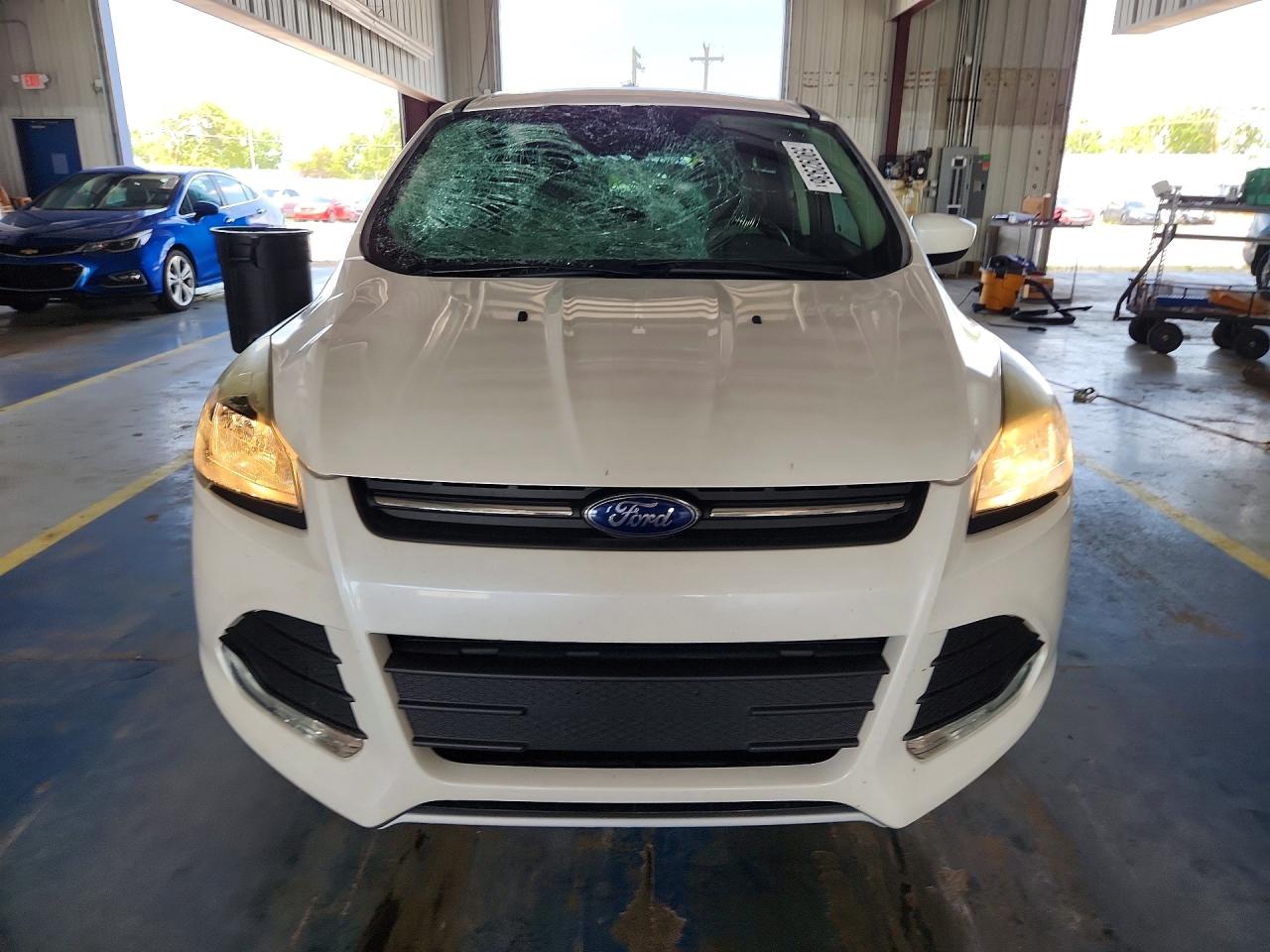 2014 Ford Escape Se White vin: 1FMCU0GX9EUC43063