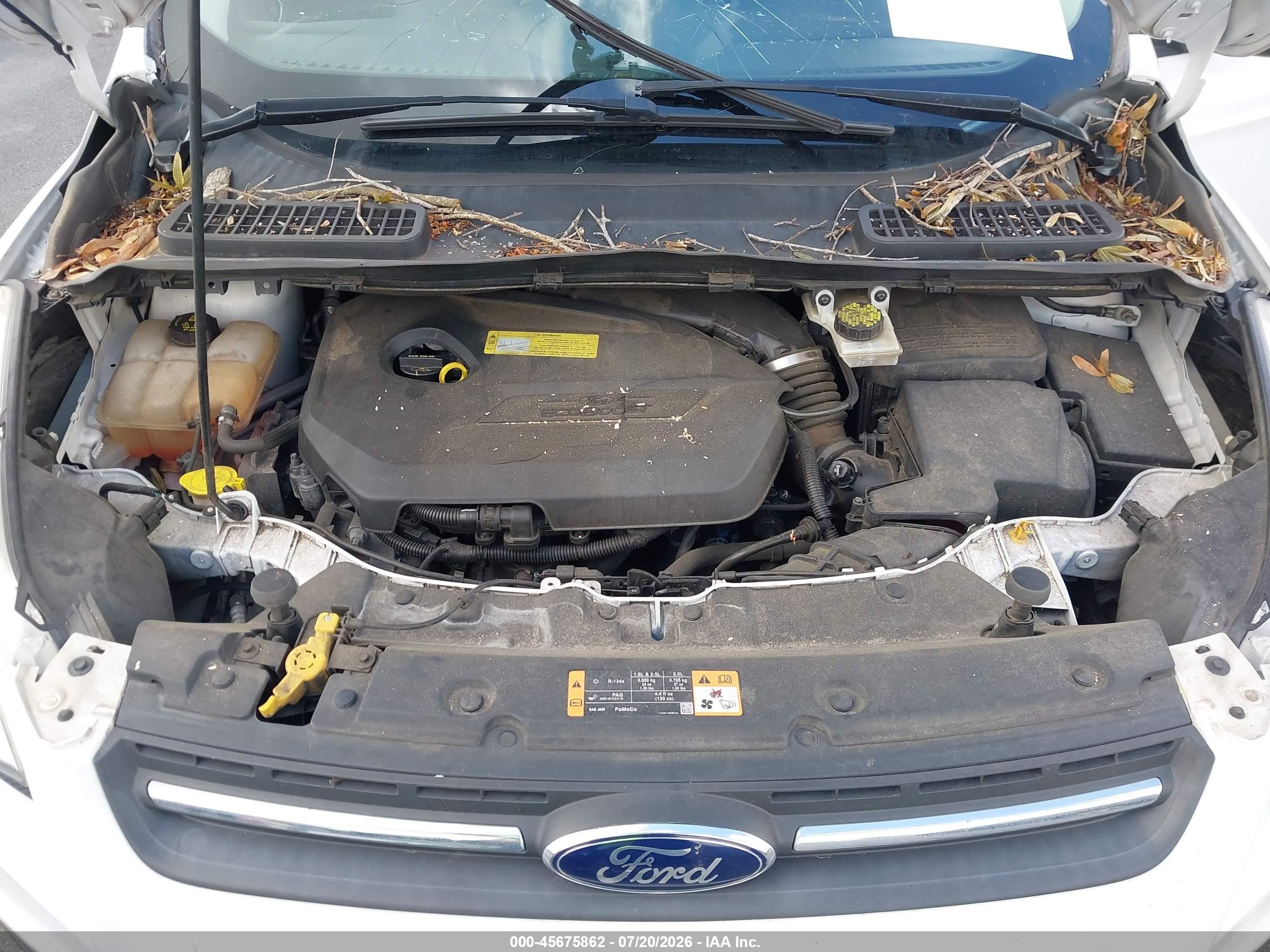 2014 Ford Escape Se White vin: 1FMCU0GX9EUD08171