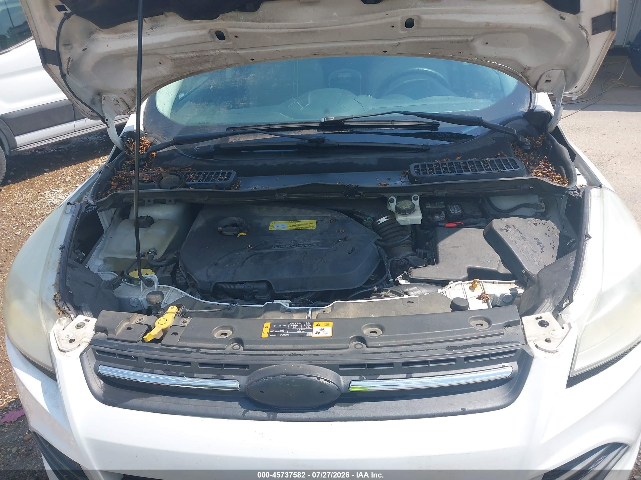 2014 Ford Escape Se White vin: 1FMCU0GX9EUD10275